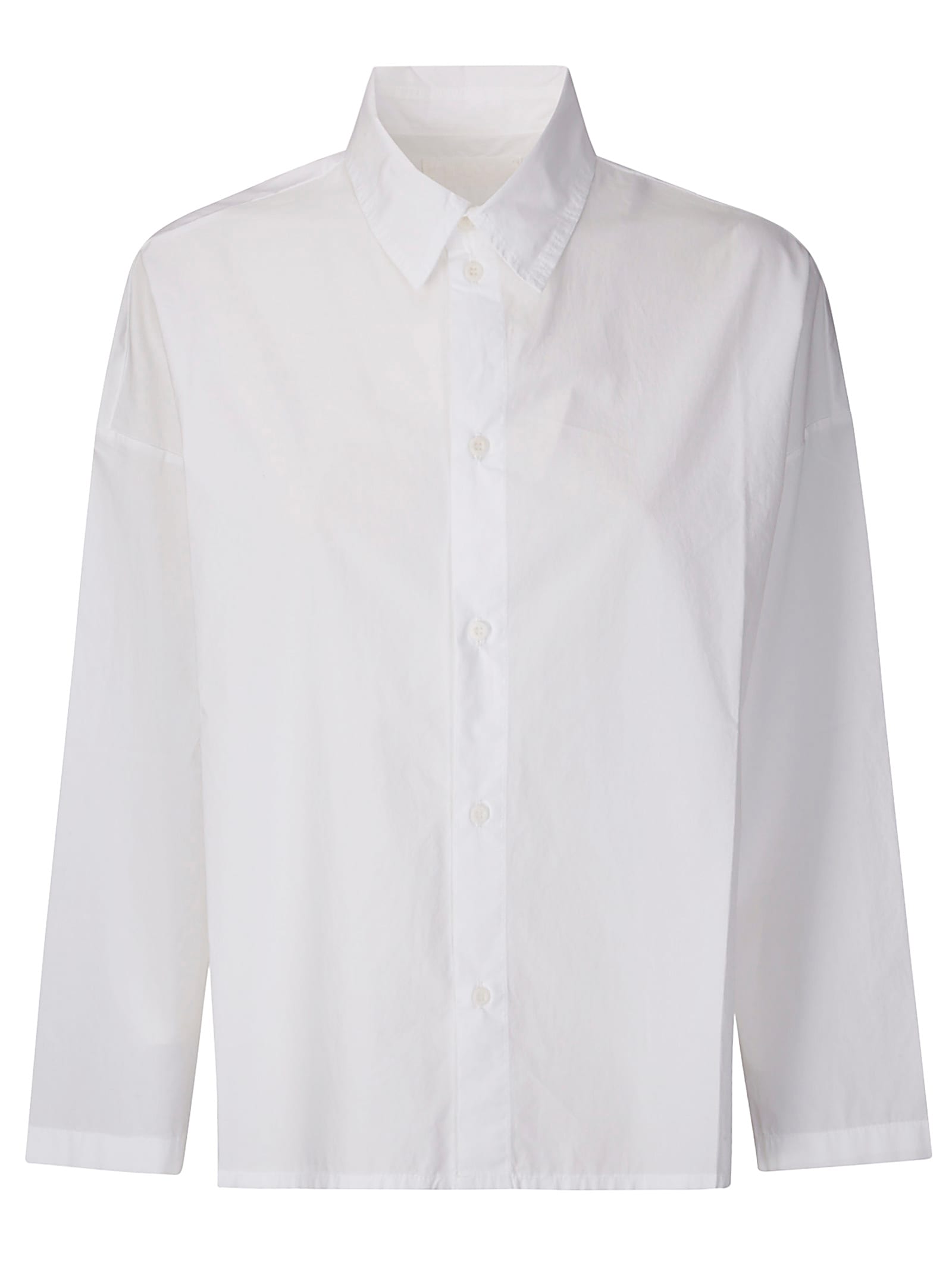 Labo. Art Camicia Nova
