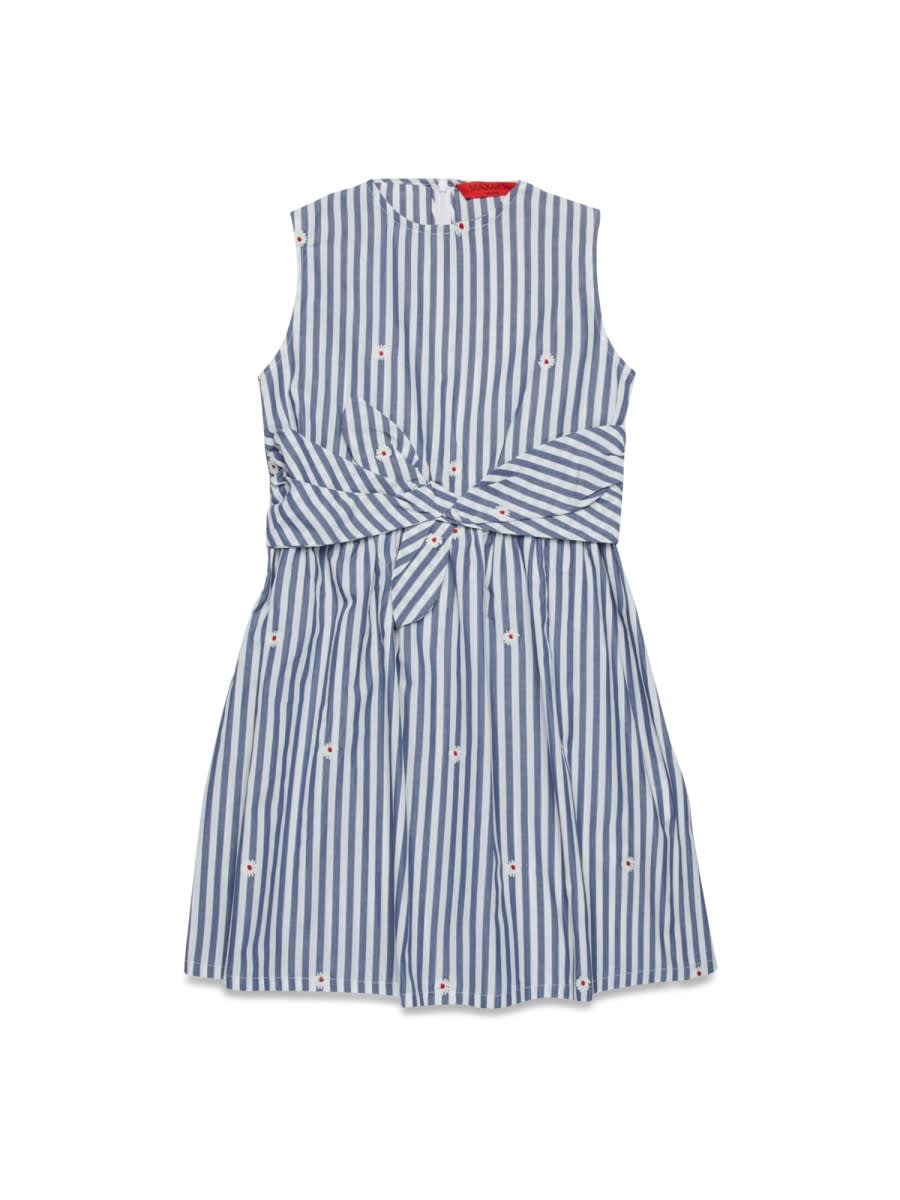 Max & Co. Dress