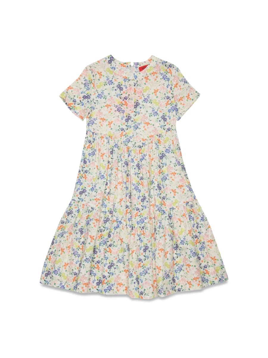 Max & Co. Dress