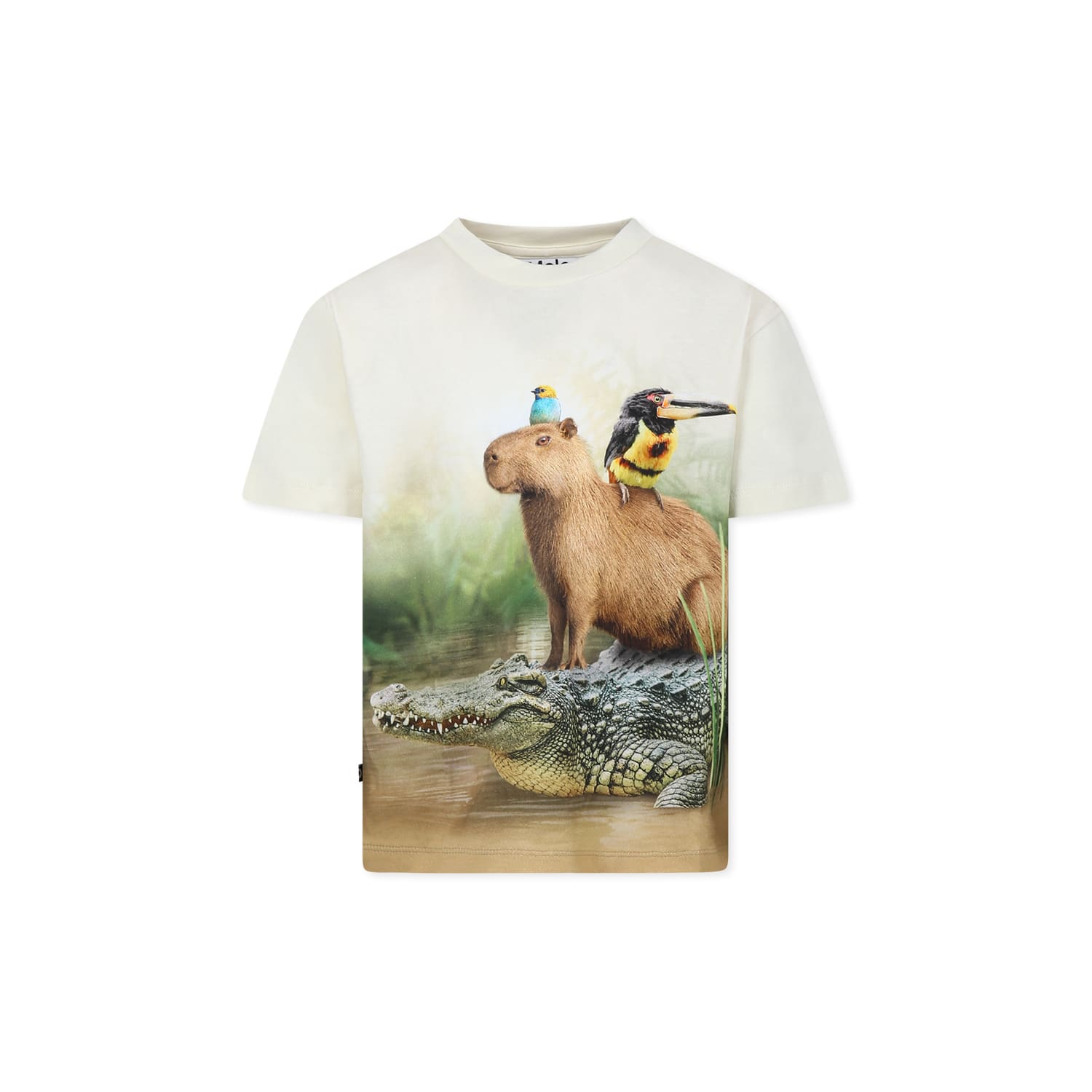 Molo Ivory T-shirt For Boy With Capybara
