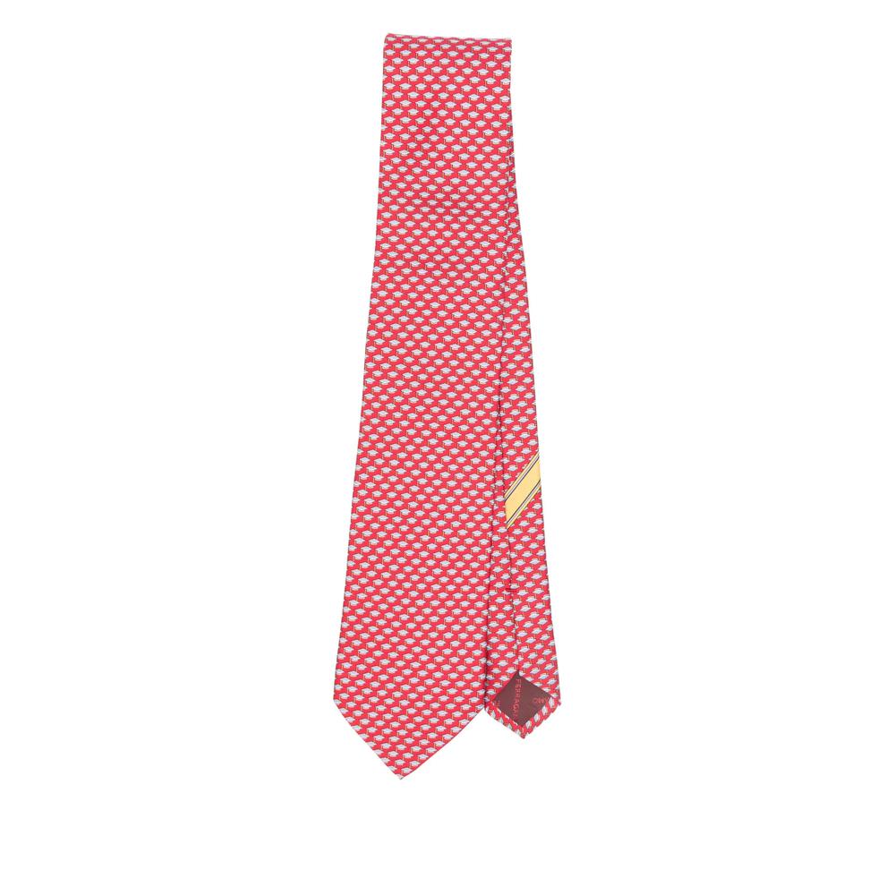 Salvatore Ferragamo Ties