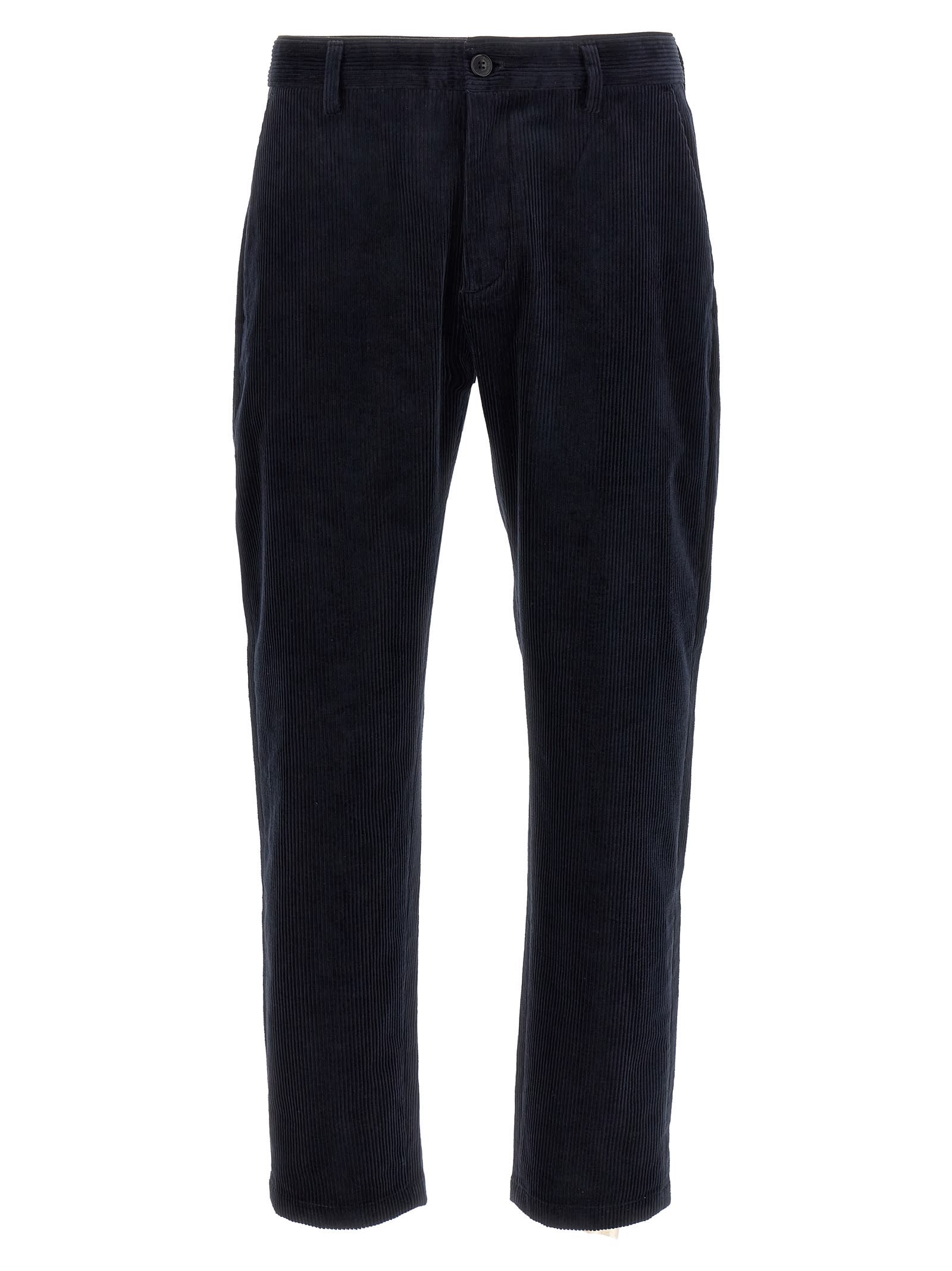Department Five prince Pants