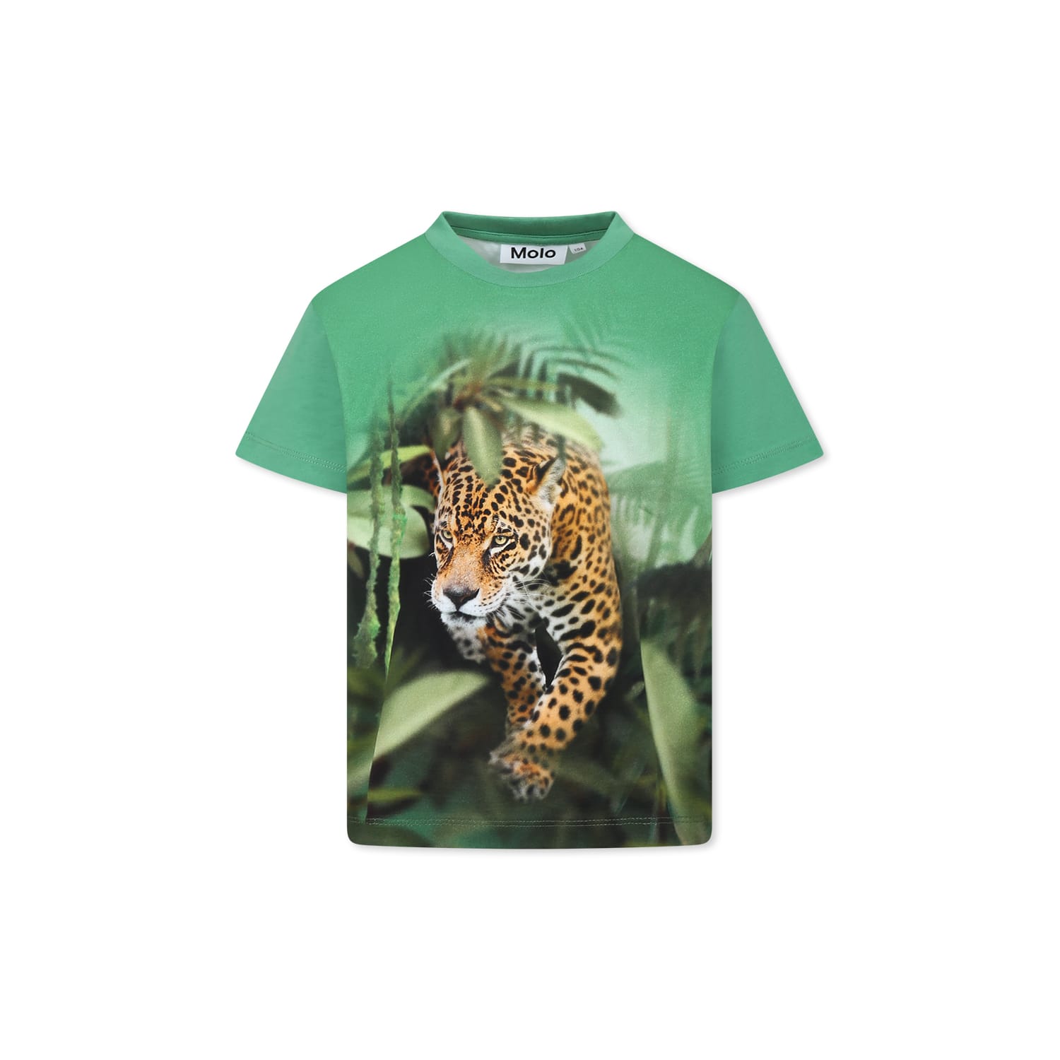 Molo Green T-shirt For Boy With Jaguar