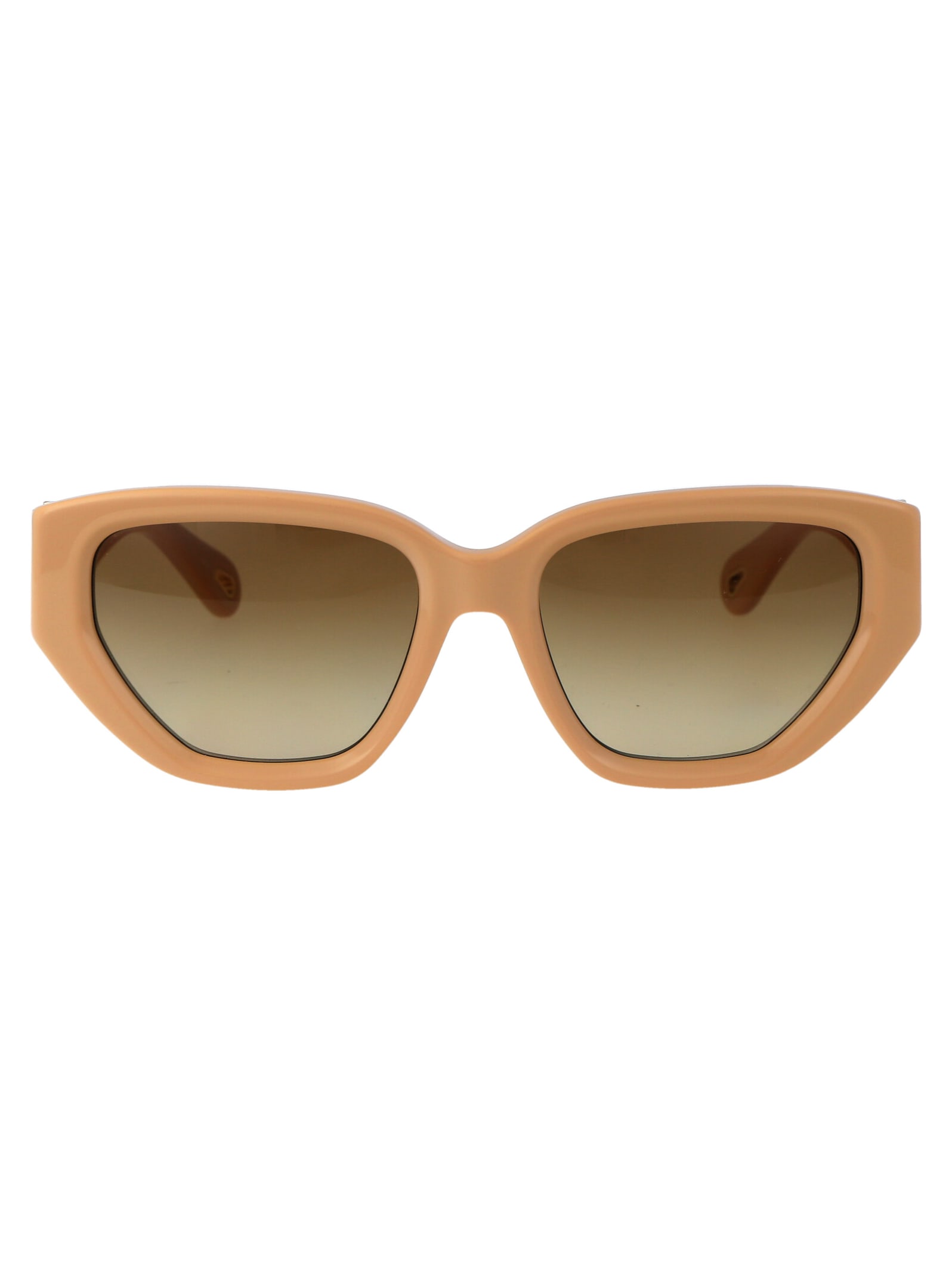 Chloé Eyewear Ch0235s Sunglasses