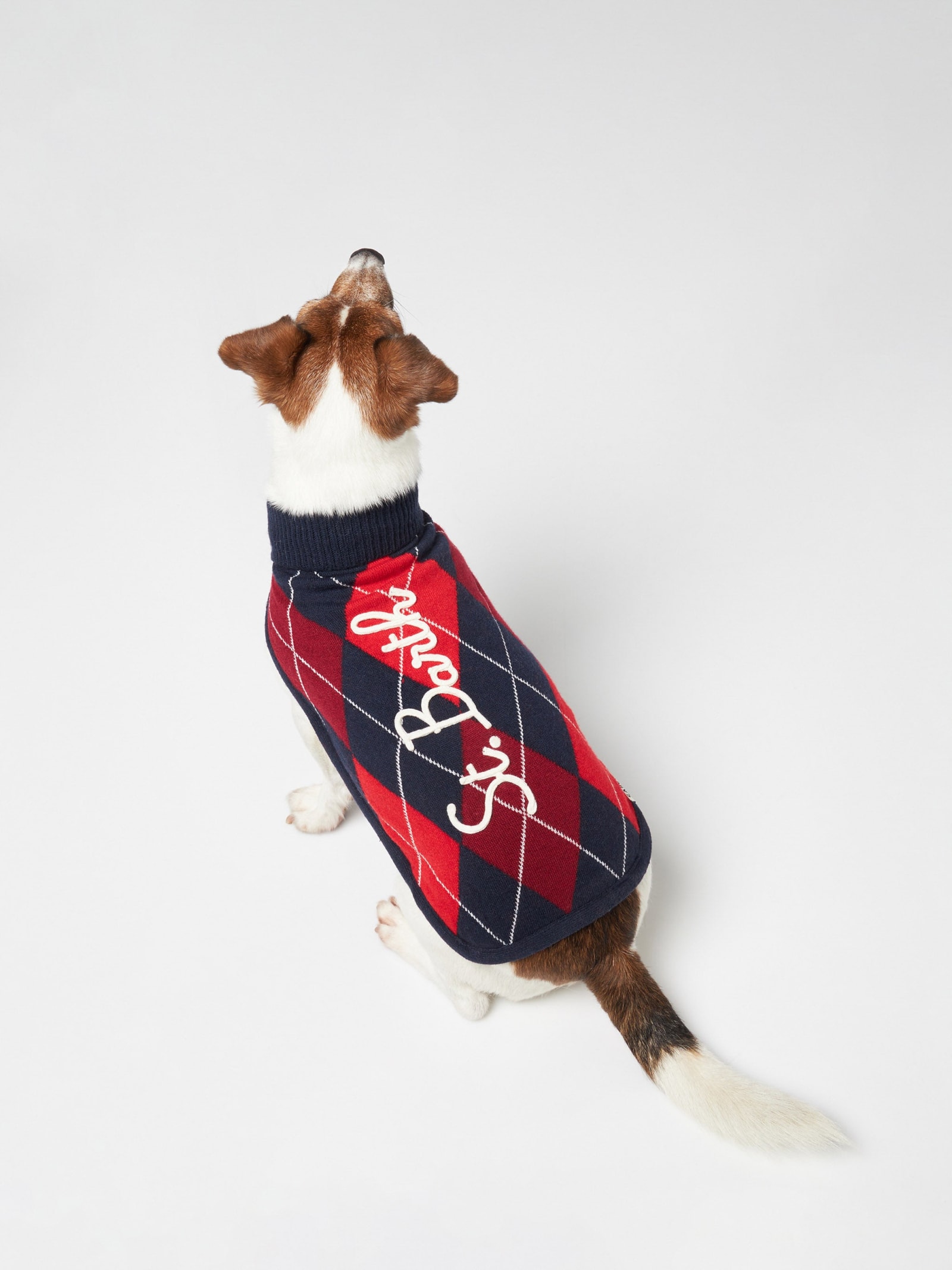MC2 Saint Barth Dog Sweater With Argyle Print