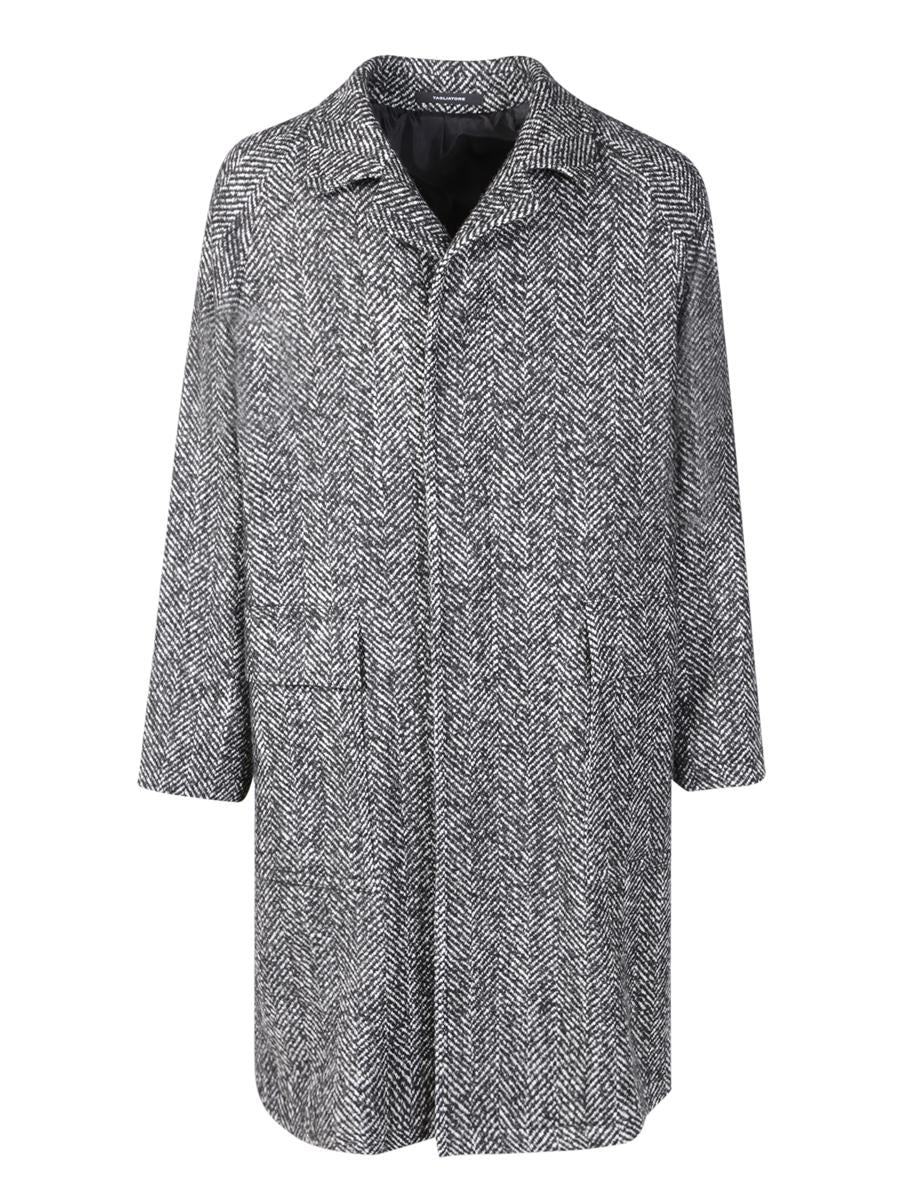 Tagliatore Coats