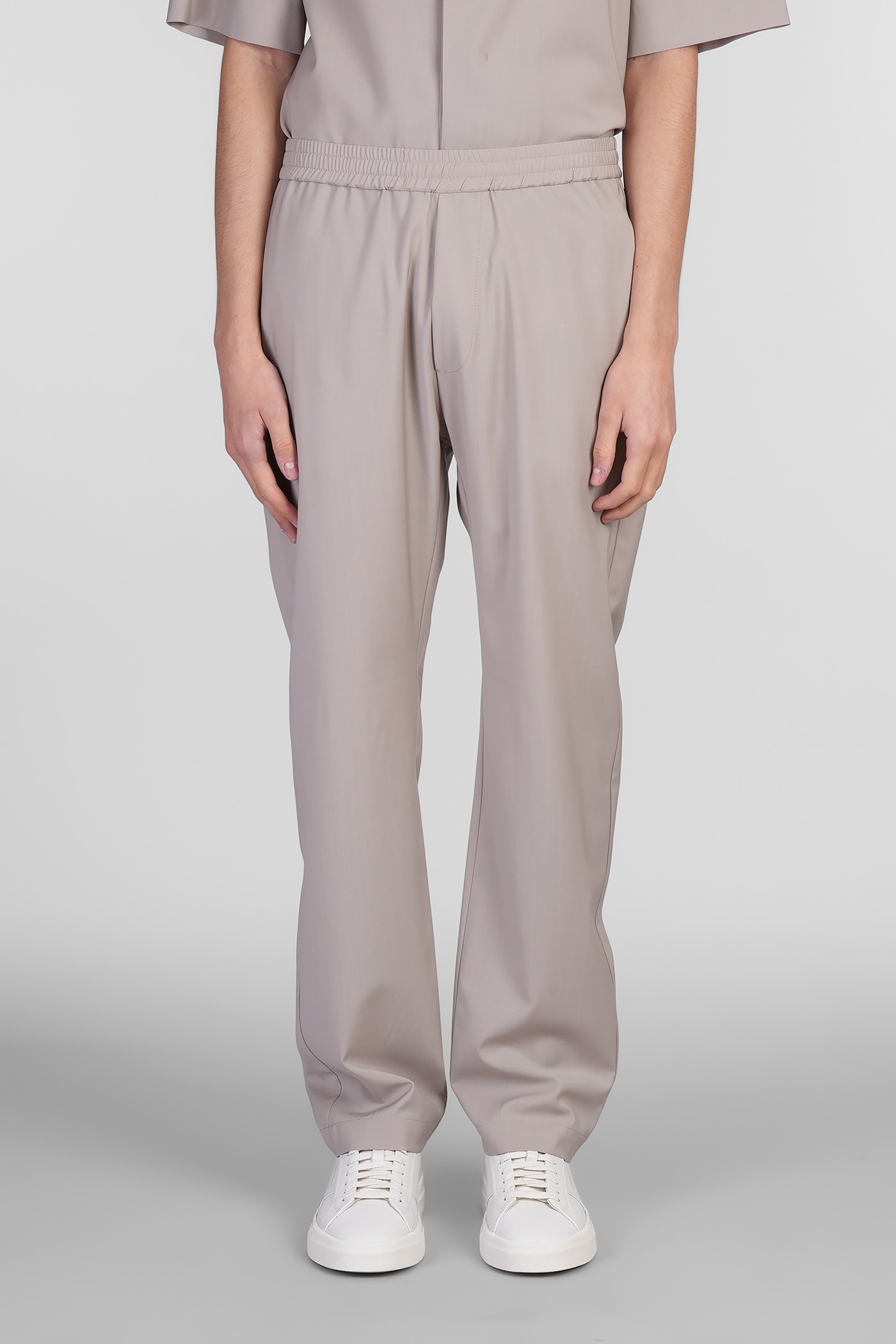 Barena Riobarbo Pants In Beige Wool