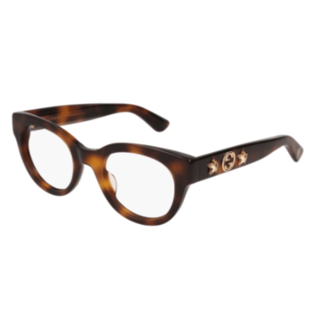 Gucci Eyewear Gg0209o002 Havana Havana Transpa