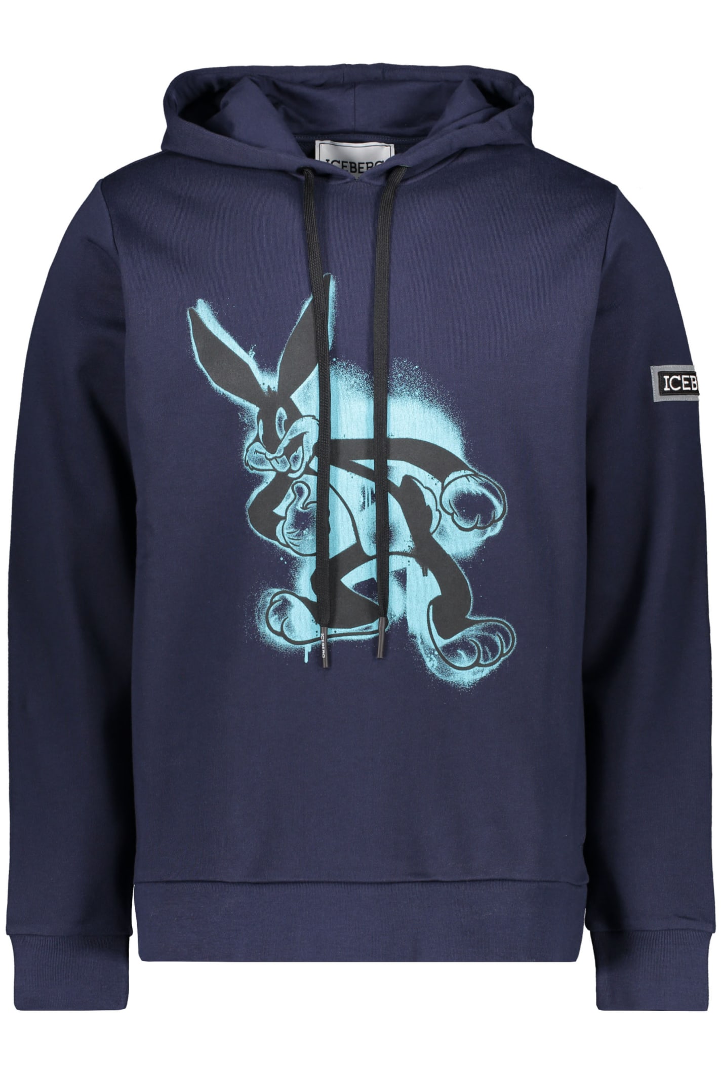 Iceberg Printed Hoodie