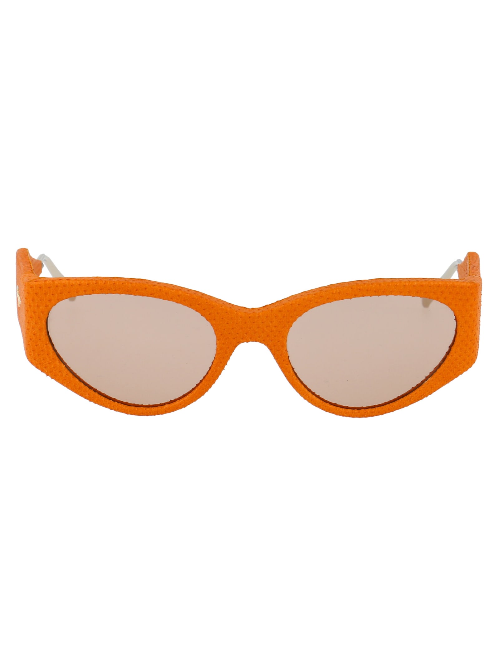 Salvatore Ferragamo Eyewear Sf950sl Sunglasses