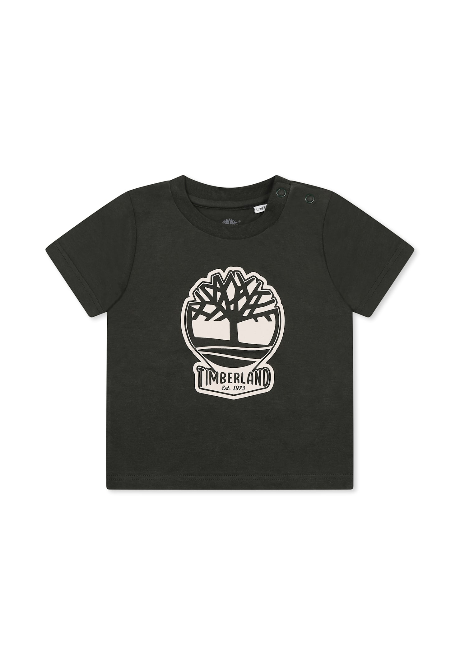 Timberland Green T-shirt For Baby Boy With Tree