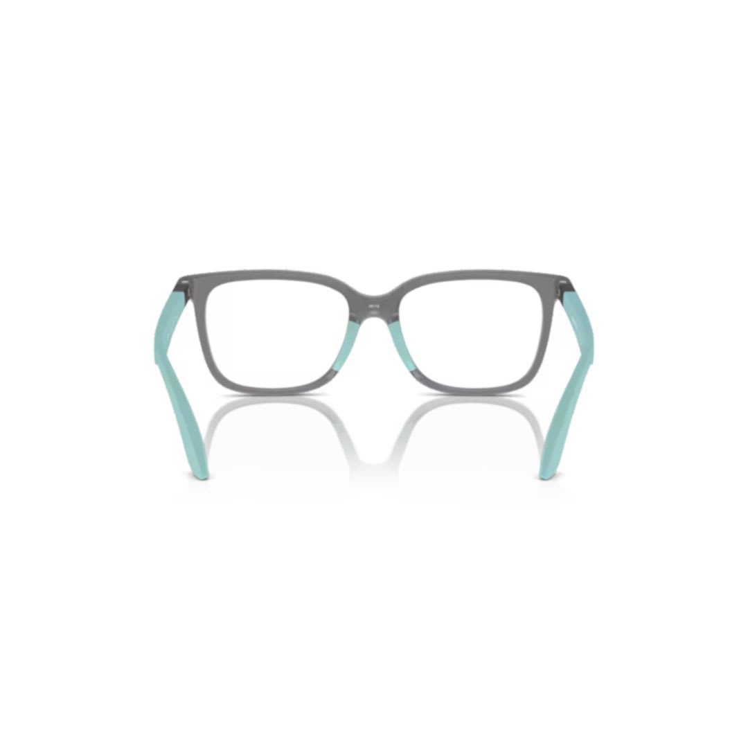 Emporio Armani 3006 Vista6134