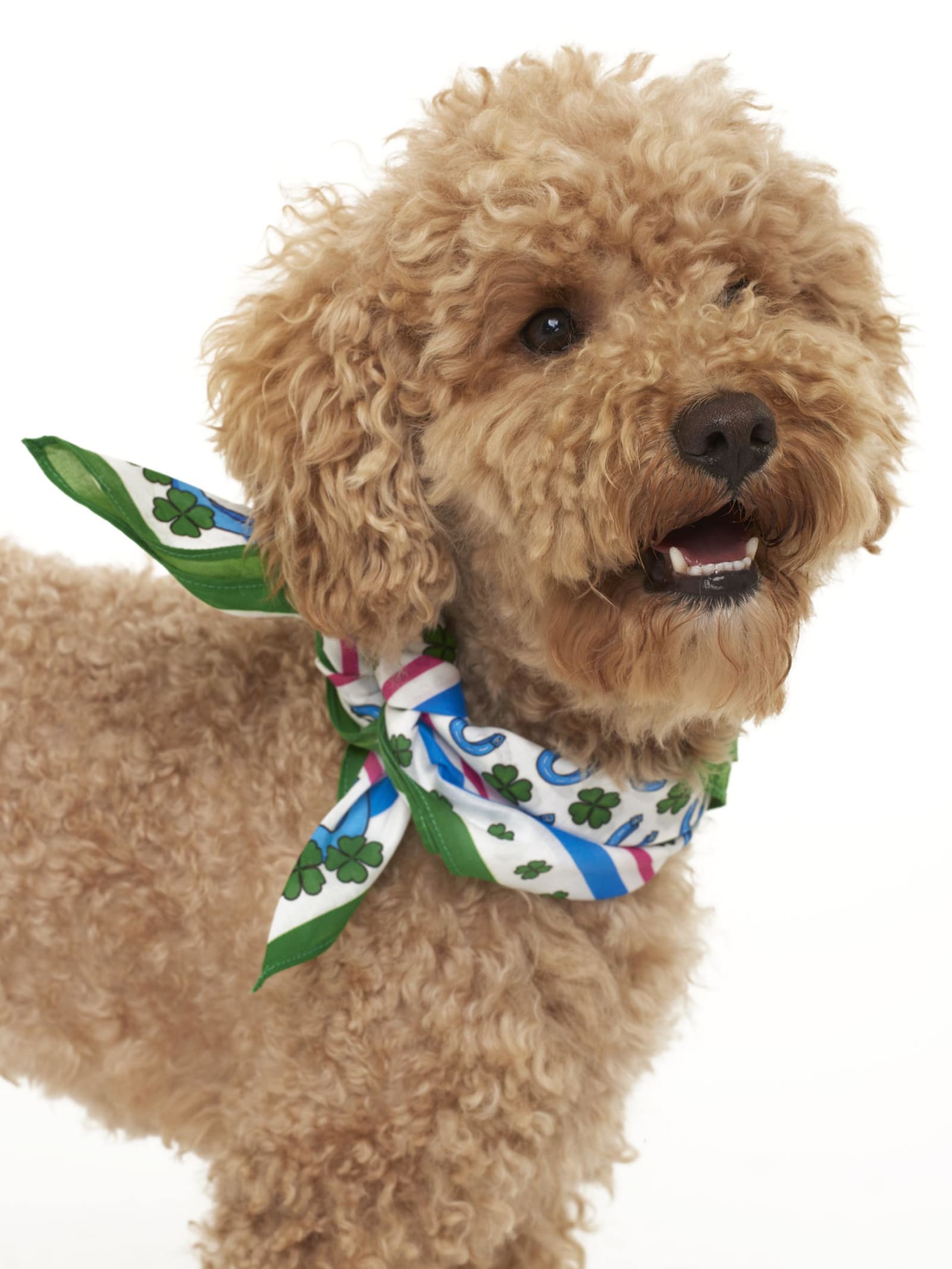 MC2 Saint Barth Foulard With Lucky Print