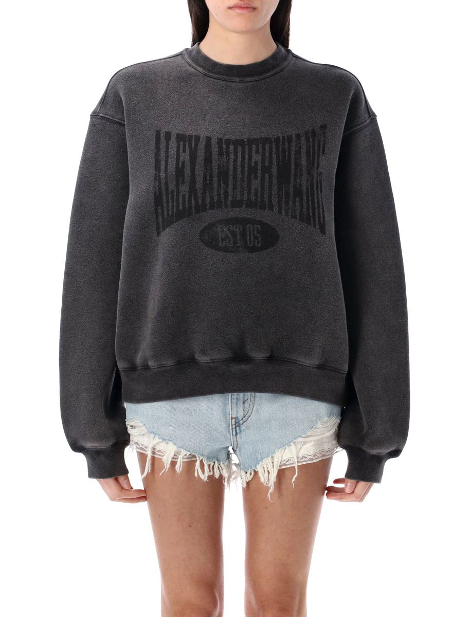 T By Alexander Wang 做旧标志卫衣