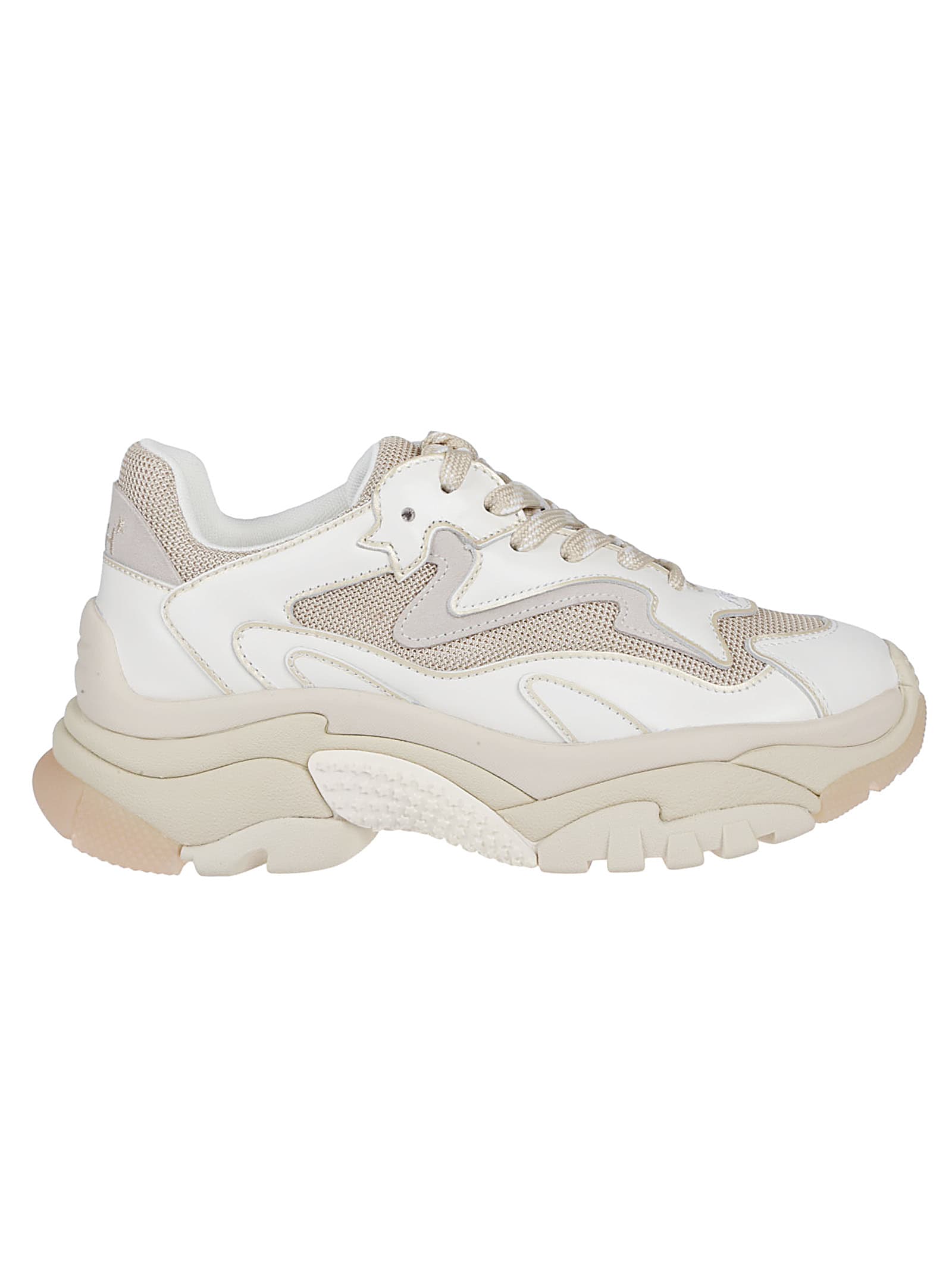 Ash Addict Sneakers