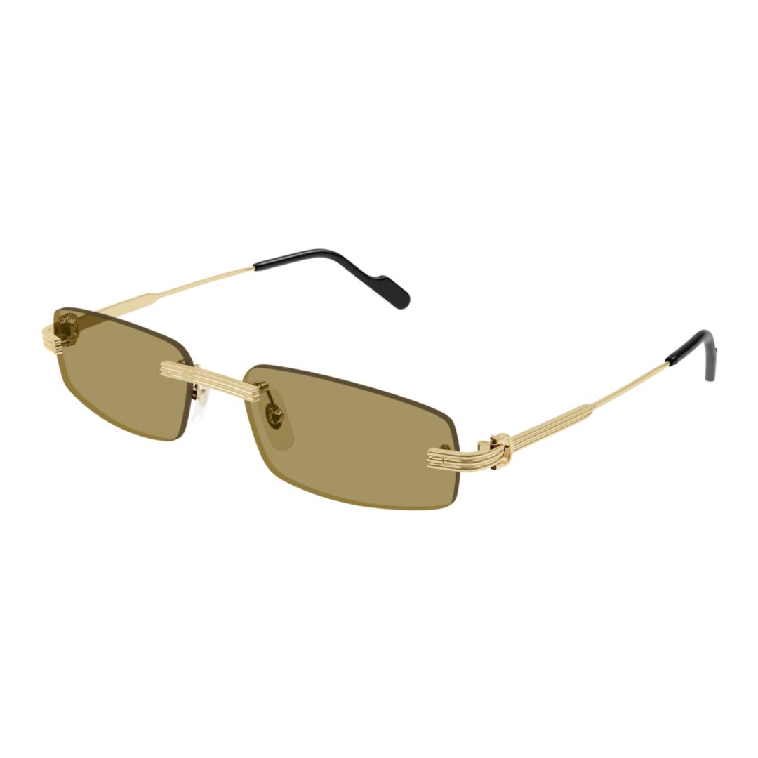 Cartier Eyewear Ct0535s003
