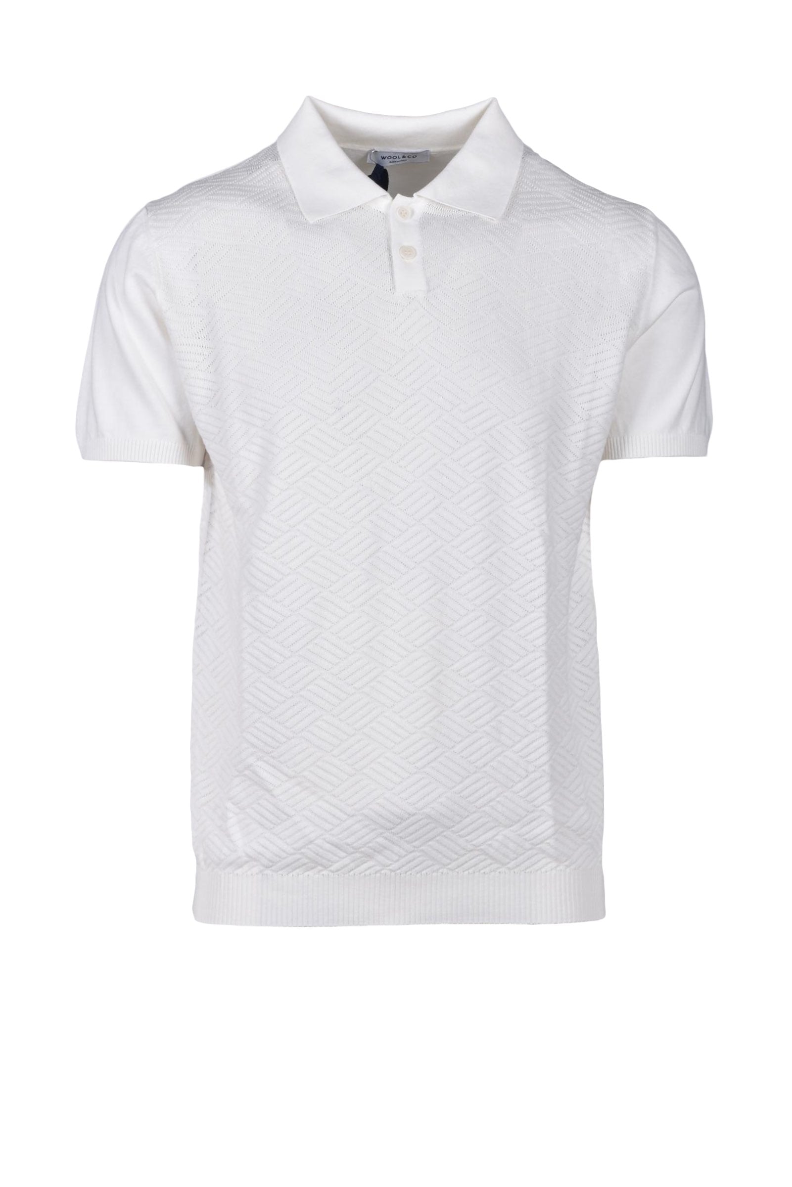 羊毛与Co Polo Basic