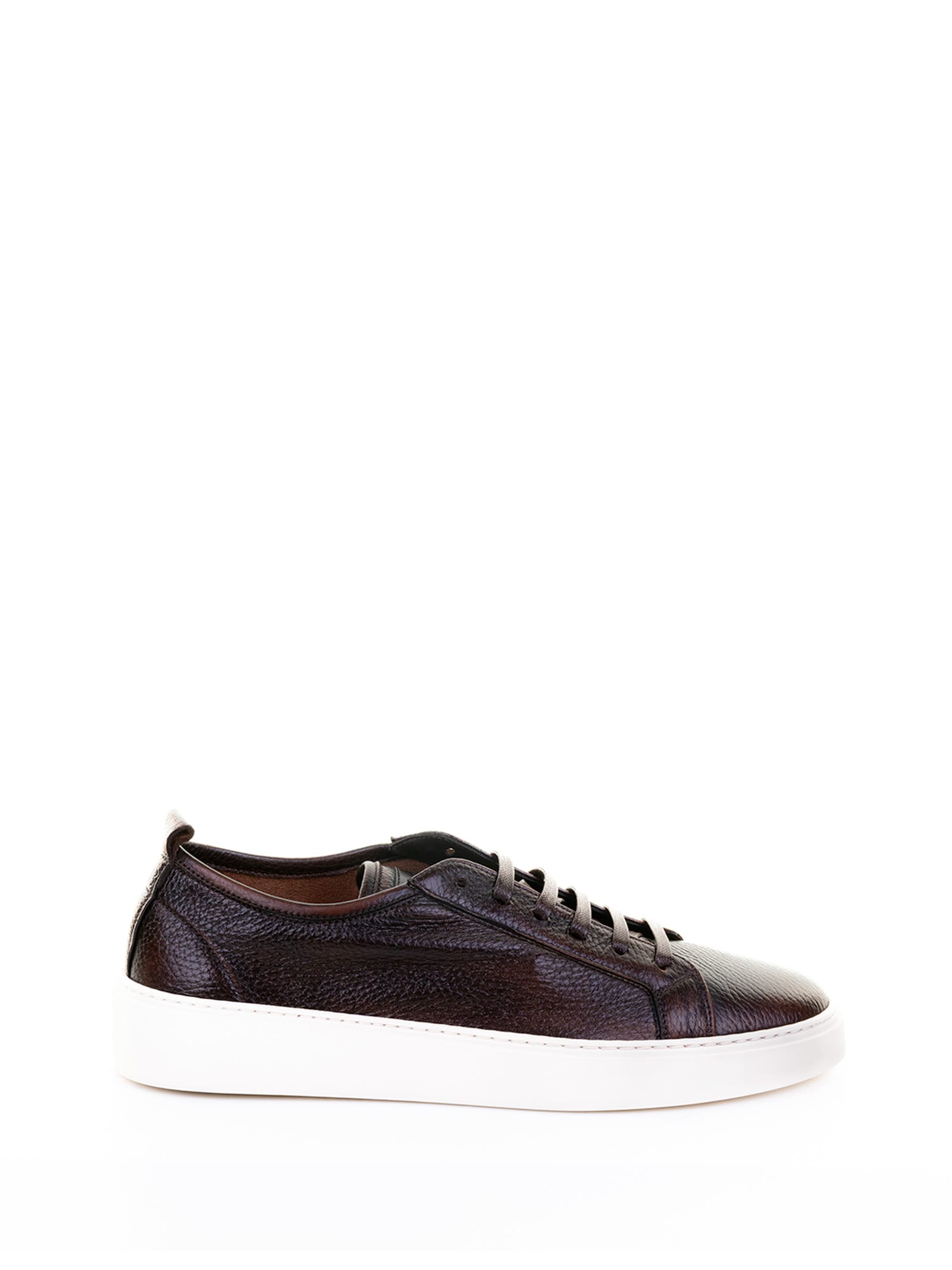 Barrett Sneakers Brown