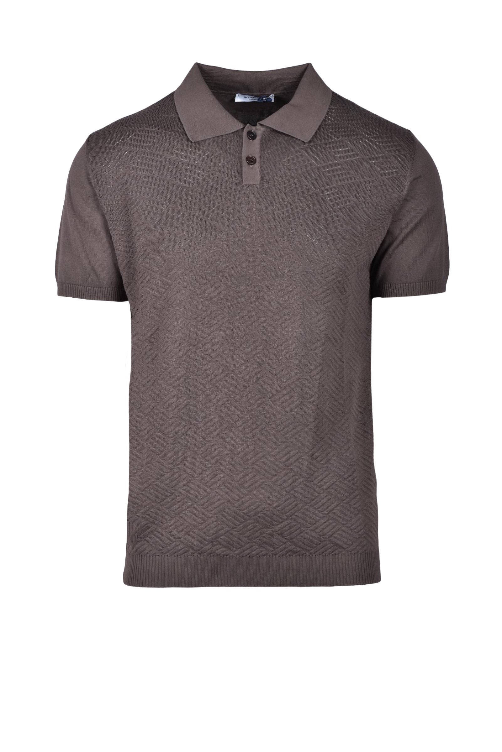 羊毛与Co Polo Basic
