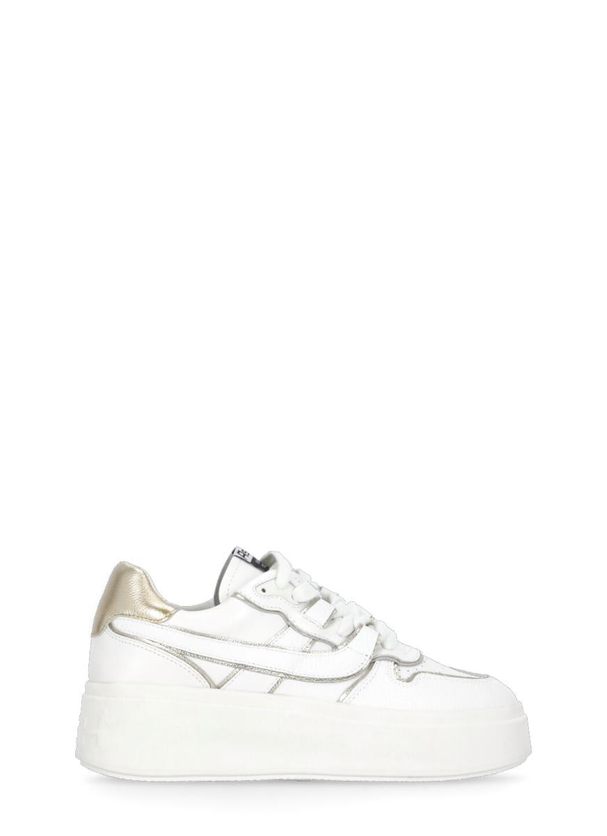 Ash Sneakers