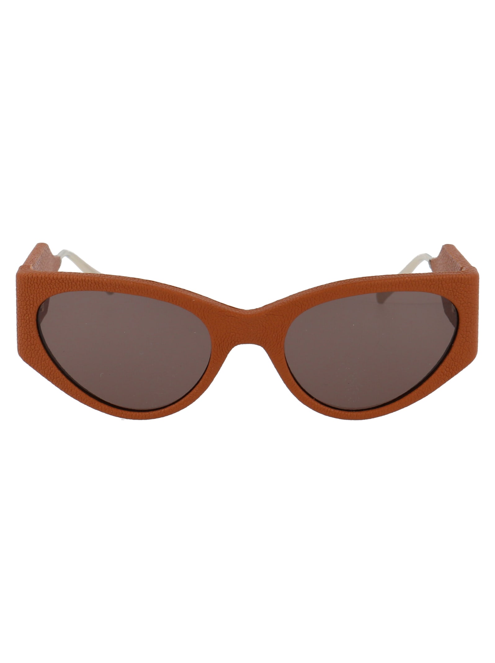 Salvatore Ferragamo Eyewear Sf950sl Sunglasses