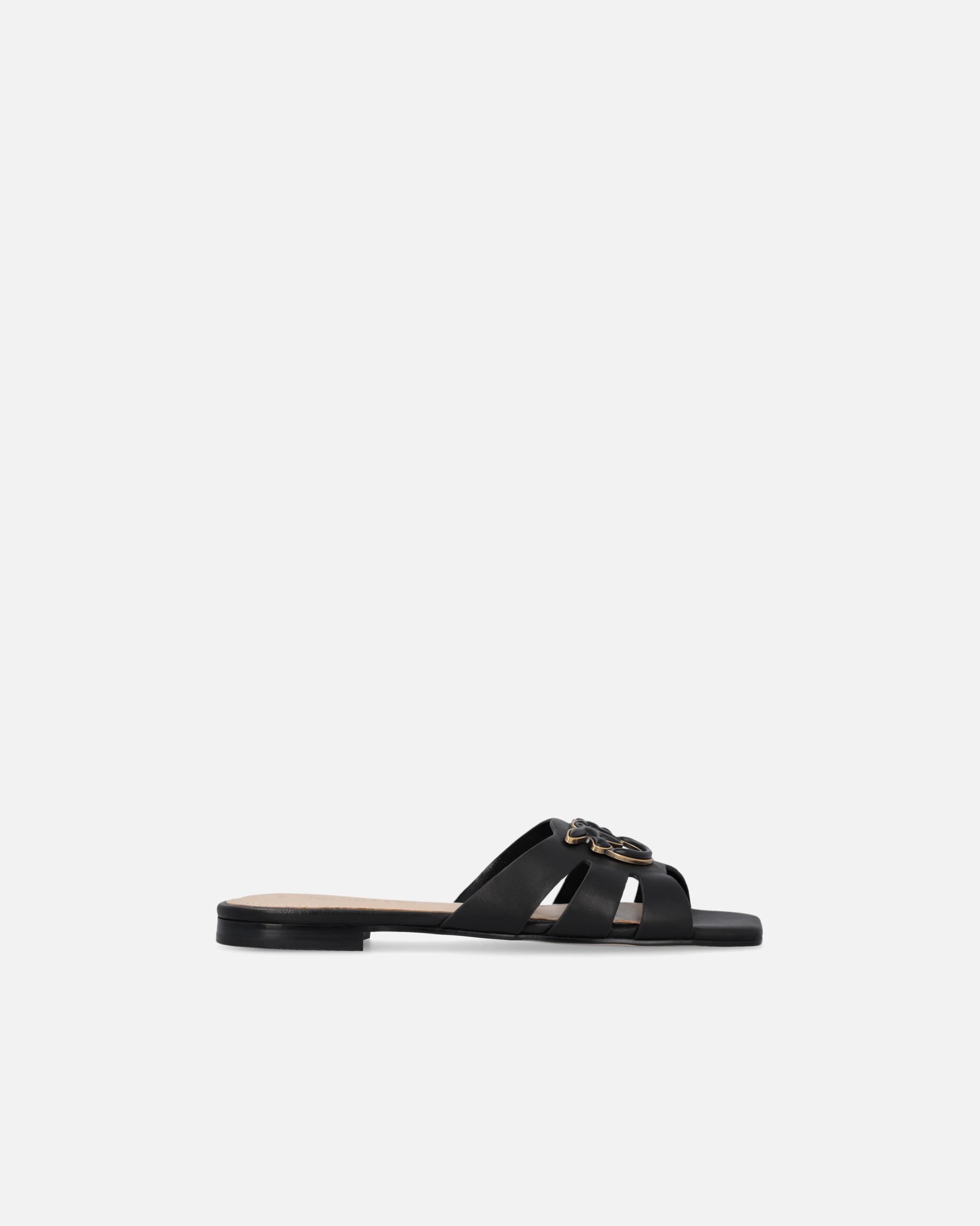 Pinko, Mules en cuir nappa à logo Love Birds, Noir limousine, 35