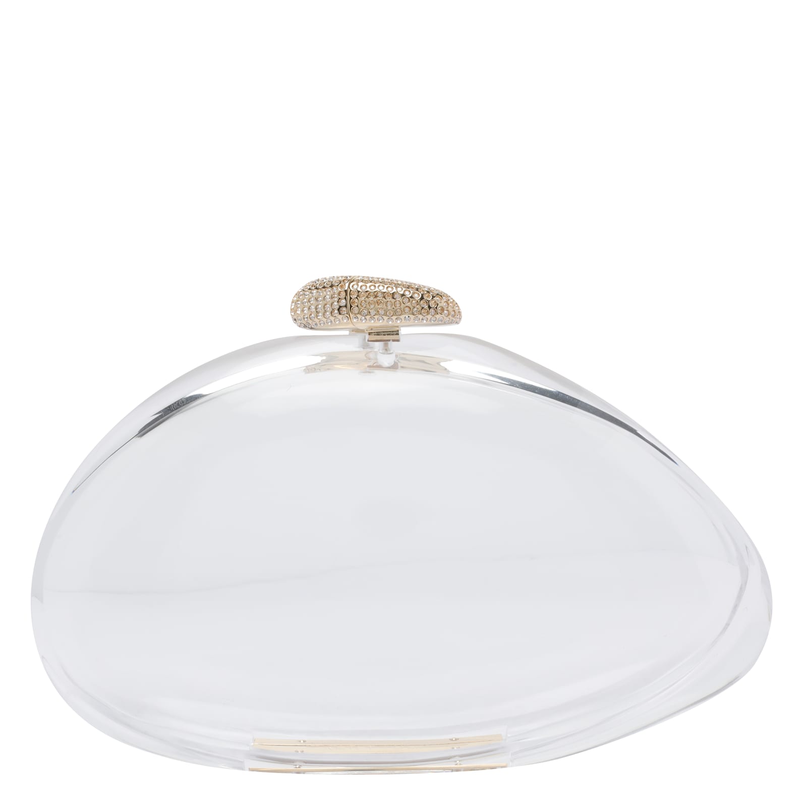Benedetta Bruzziches Ariel Transparent Handbag