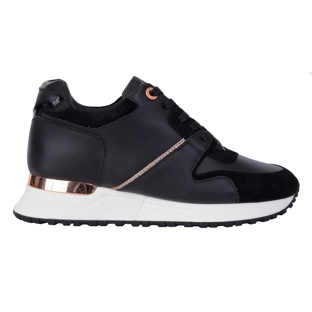 Almorah Trainer
