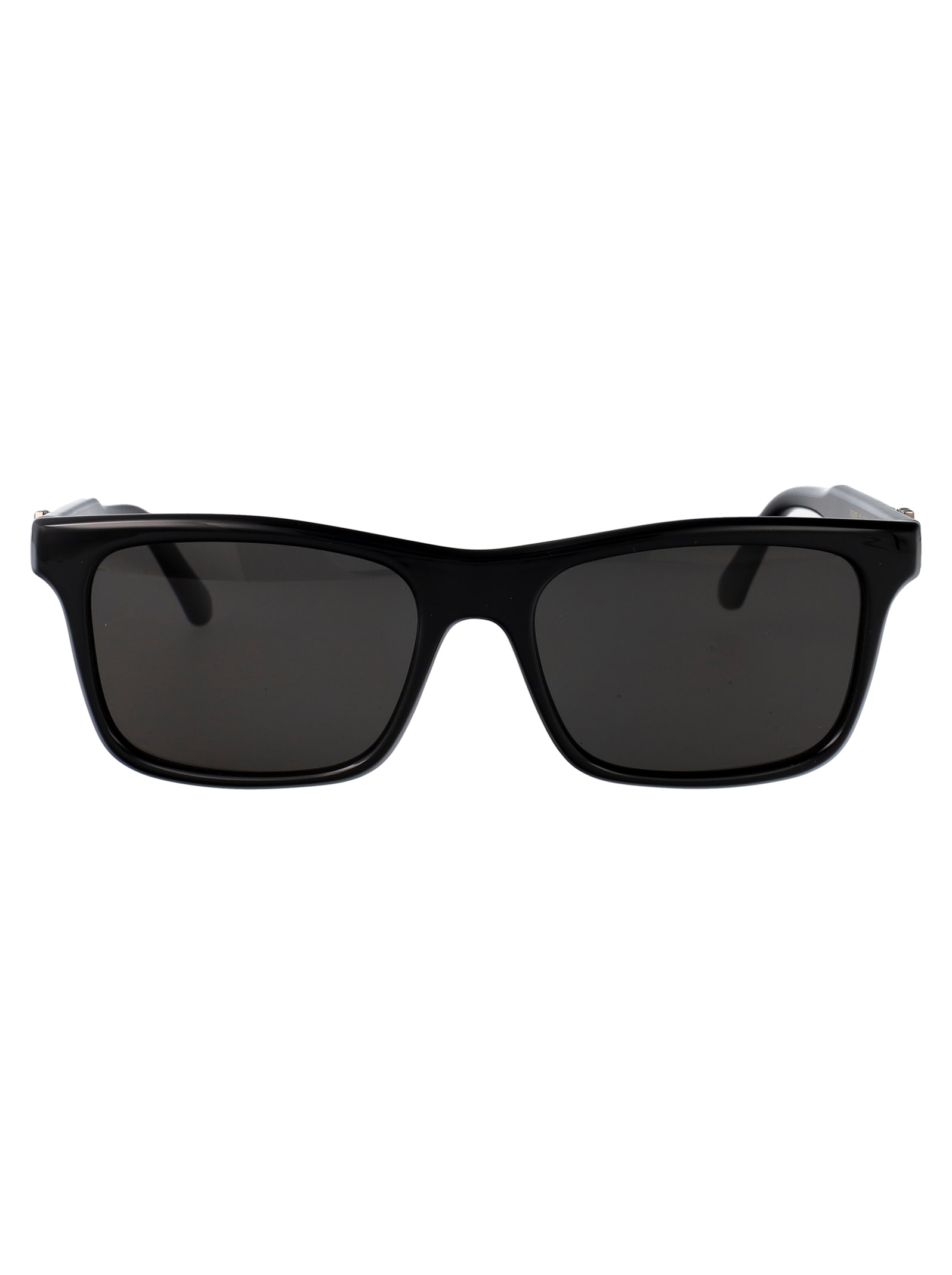 Salvatore Ferragamo Eyewear Sf2060se Sunglasses