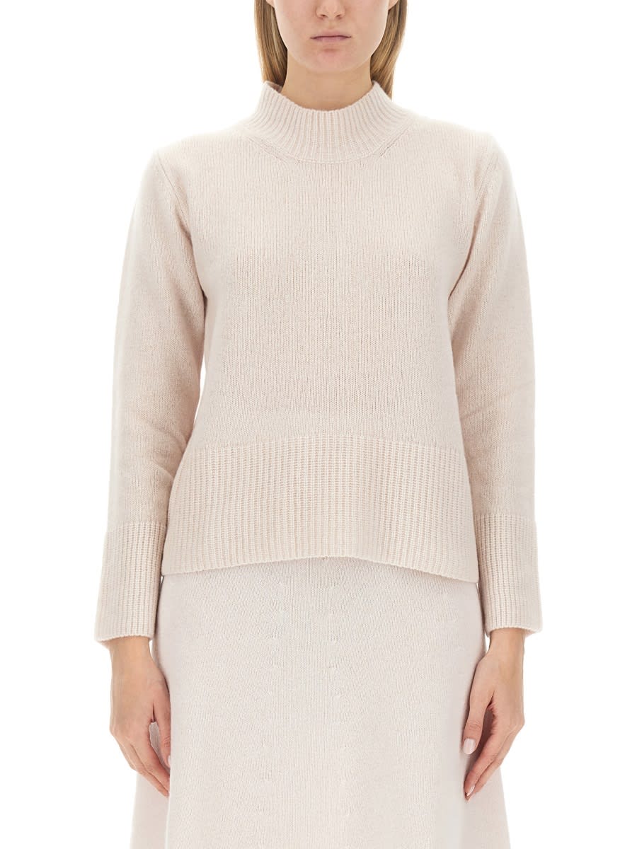 Alysi Wool Jersey.