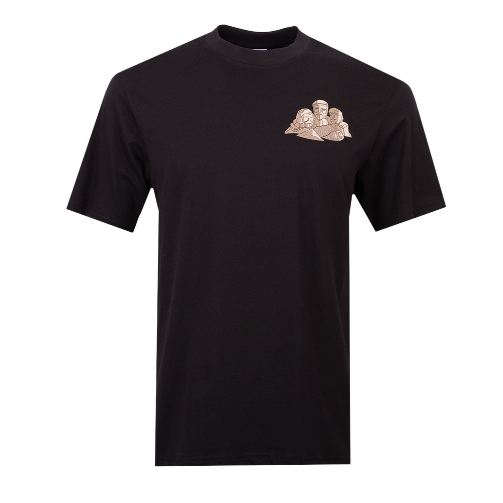 Mount Hikerdelic T Shirt