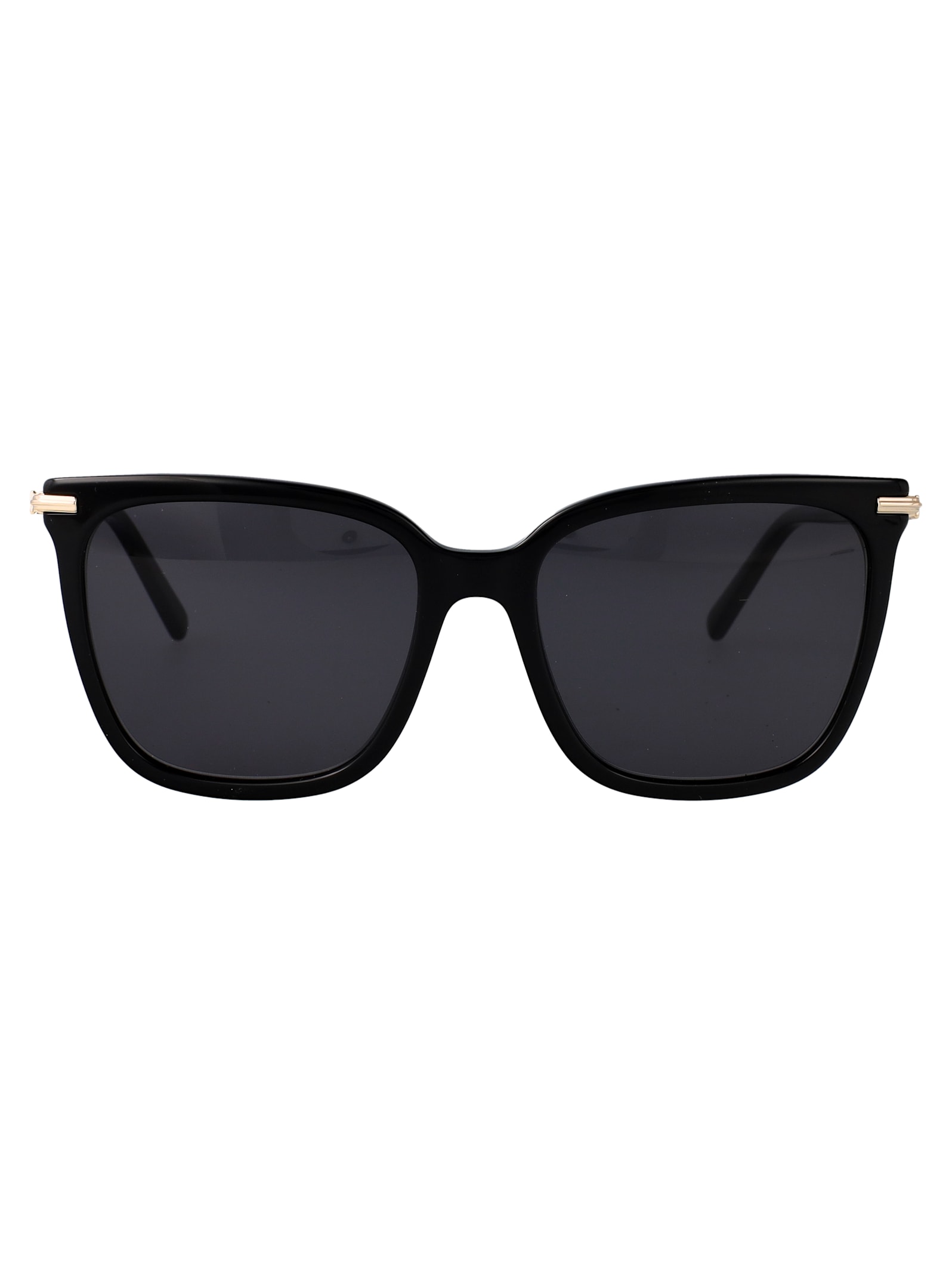 Salvatore Ferragamo Eyewear Sf2037s Sunglasses