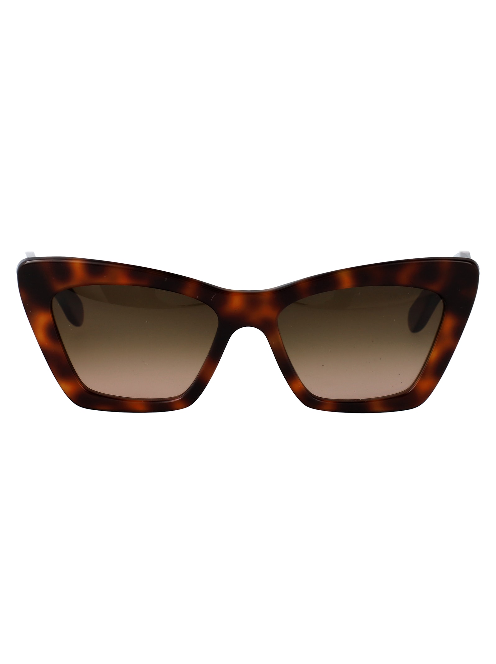 Salvatore Ferragamo Eyewear Sf929sn Sunglasses