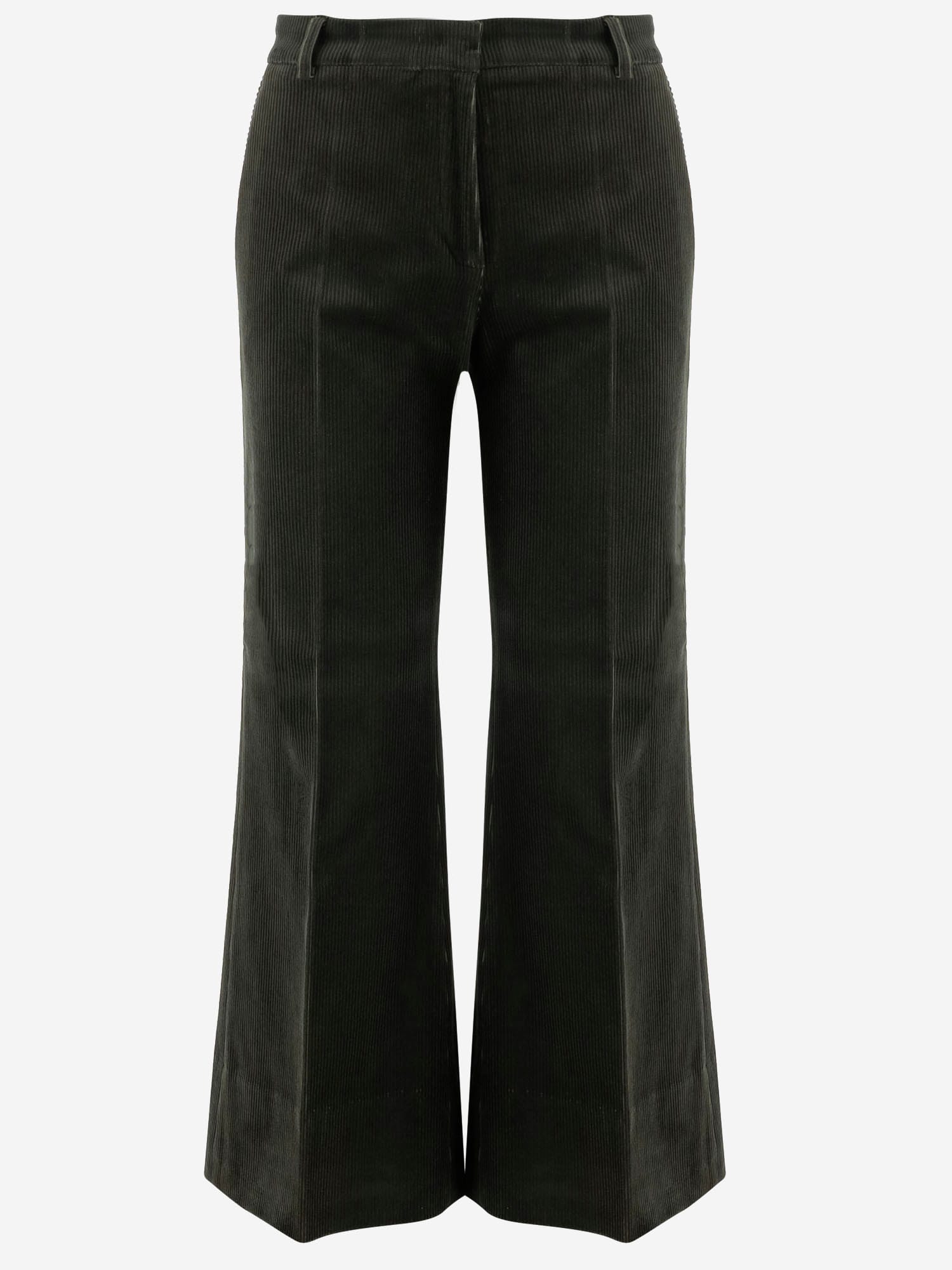 QL2 Stretch Cotton Melody Pants