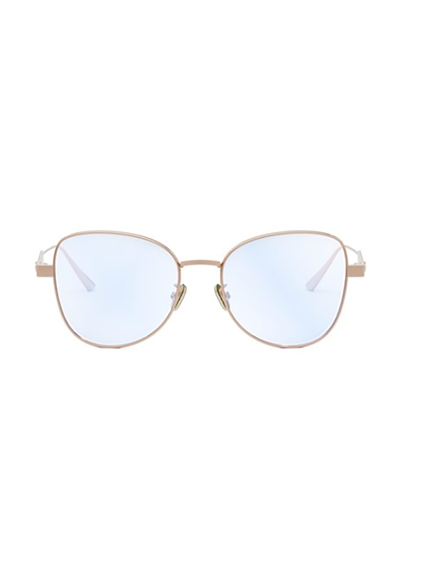 DIORCANNAGEO B1F Eyewear