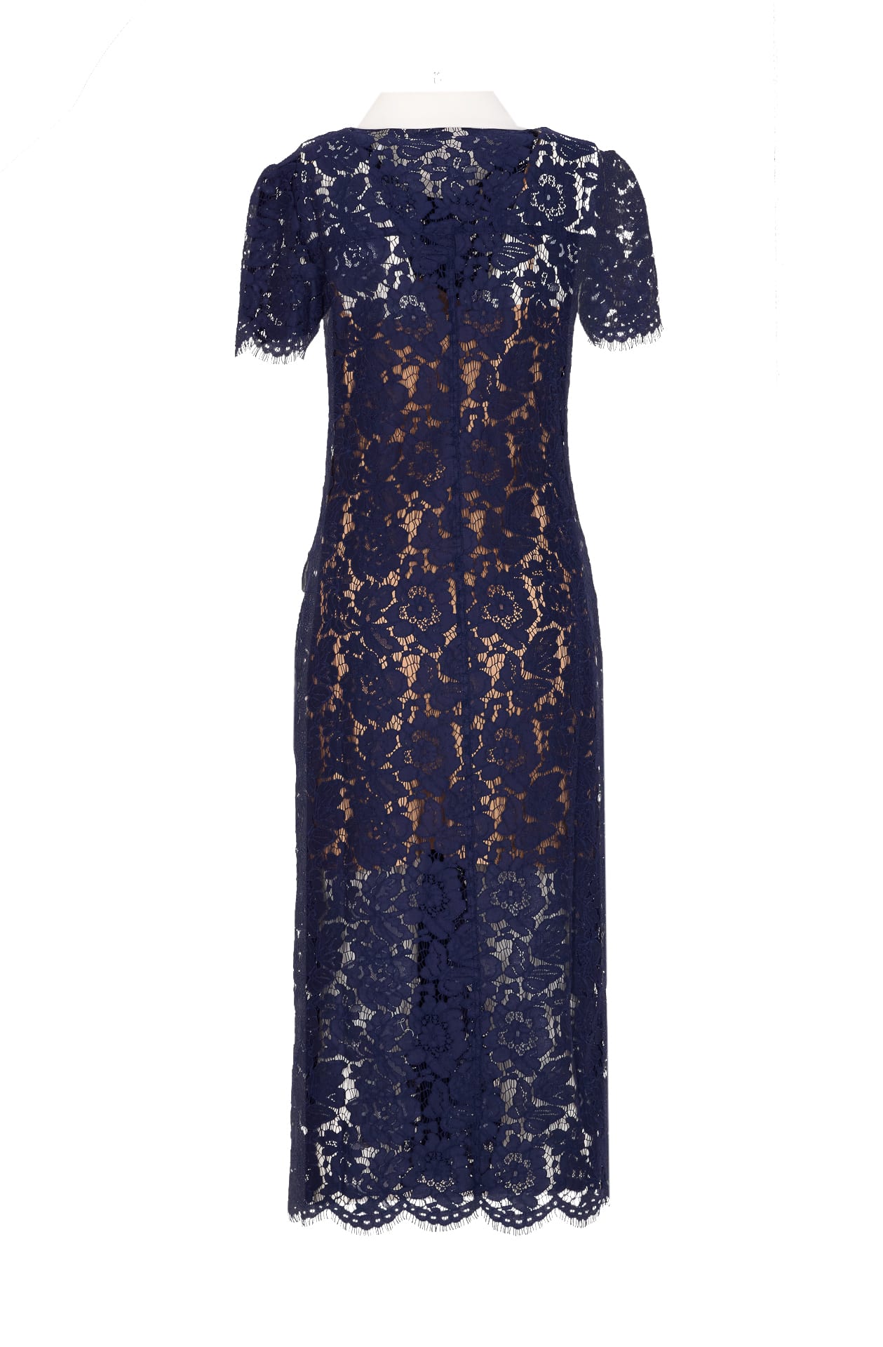 self-portrait Lace Contrast Collar Midi Dress