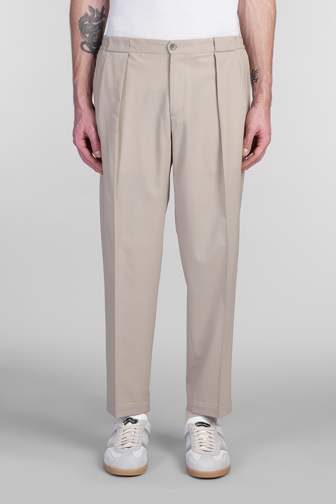 Briglia 1949 Portobellos Pants In Taupe Wool