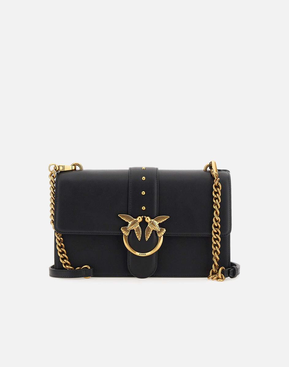 Pinko Bags..