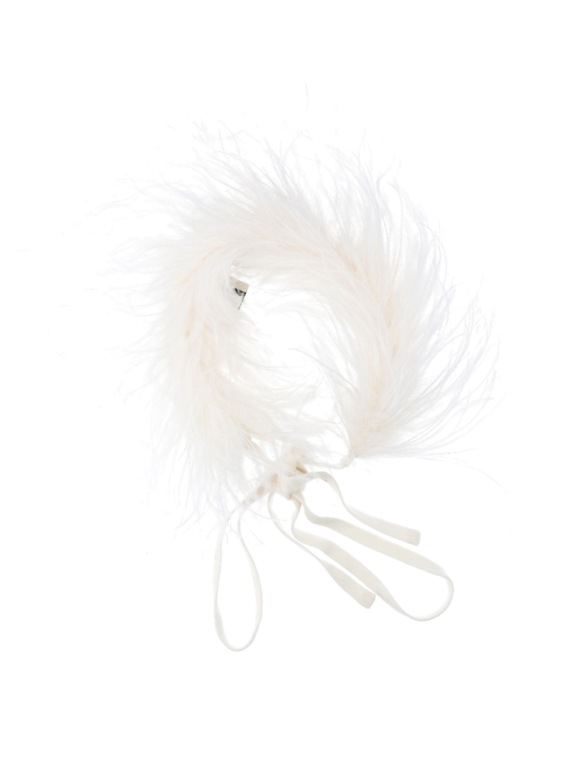 Art Essay Neck Feathers
