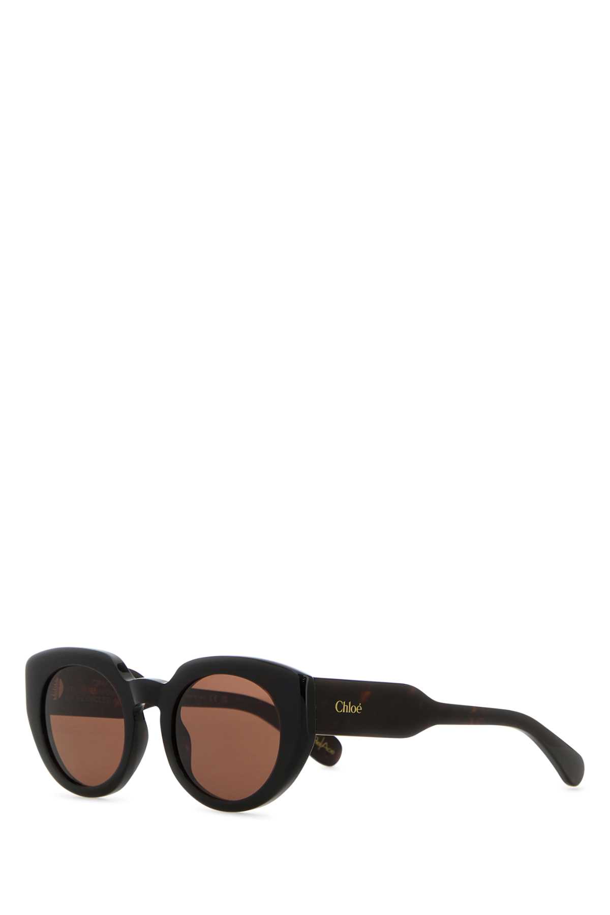 Chloé Dark Brown Acetate Gayia Sunglasses