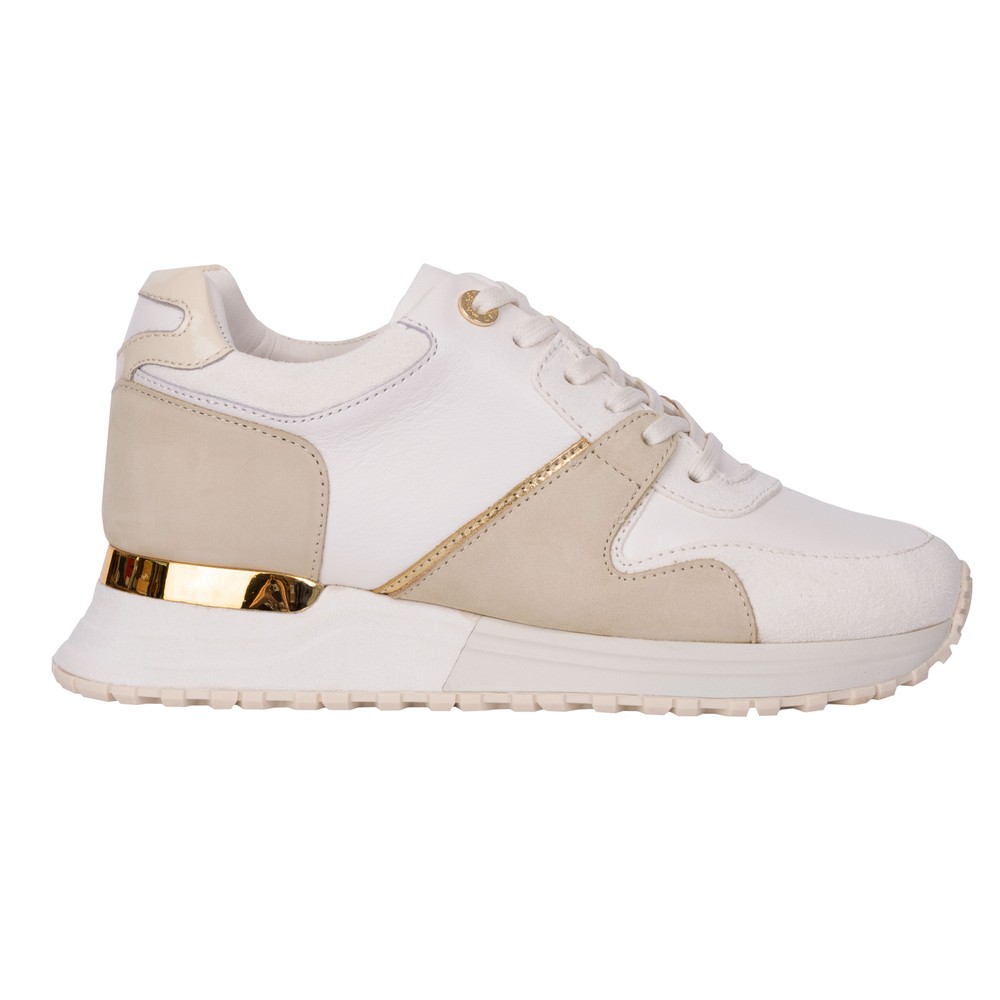 Almorah Trainer
