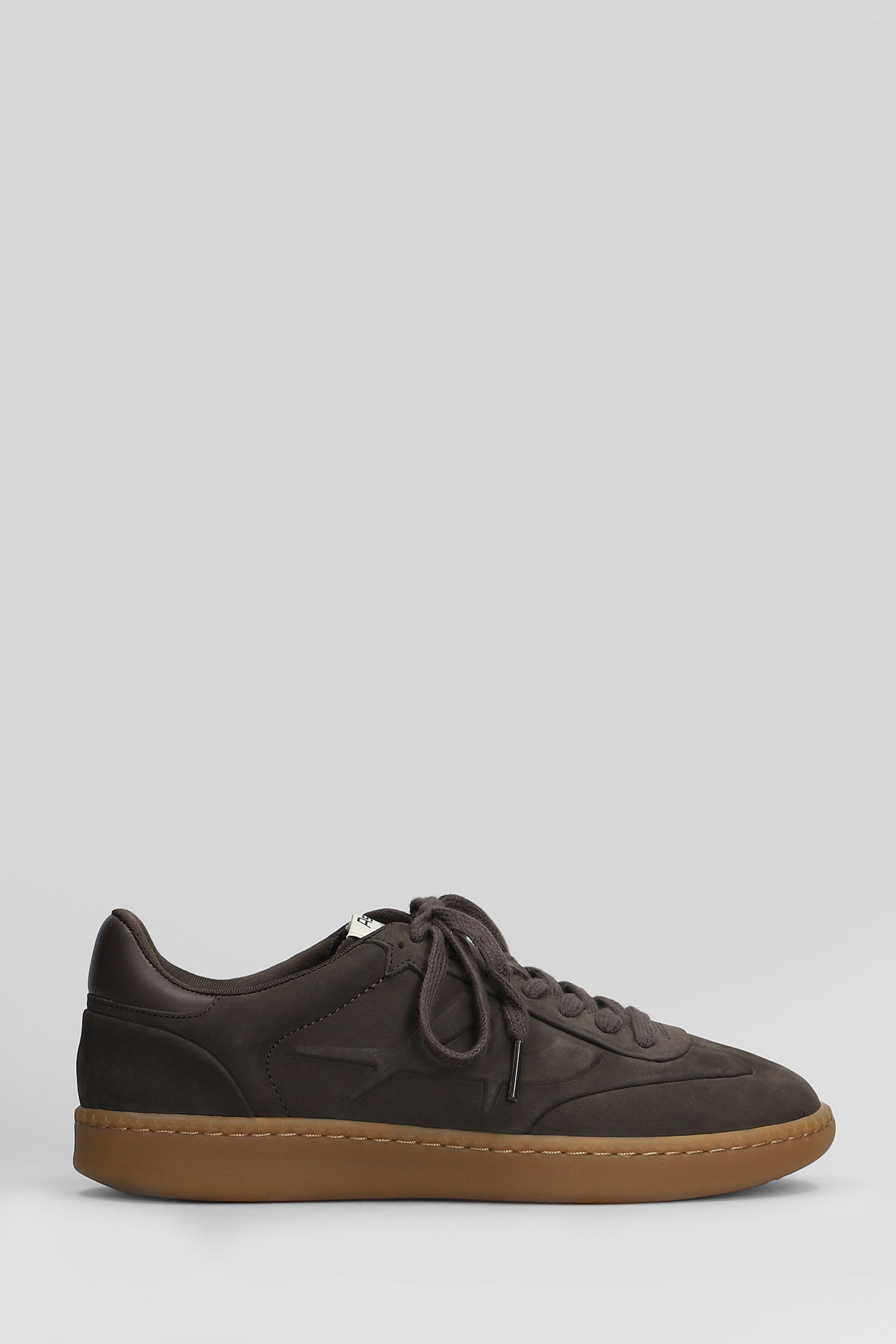 Ash Siena Sneakers In Brown Nubuck