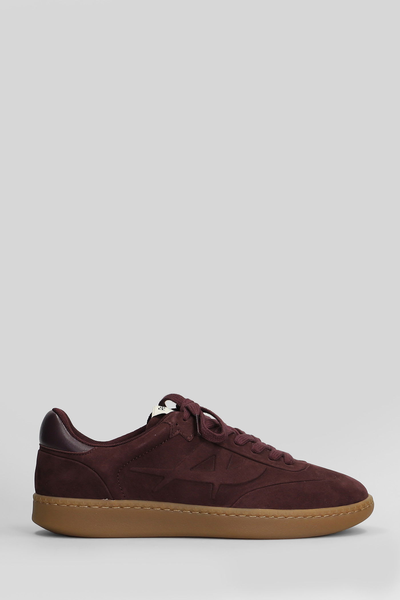 Ash Siena Sneakers In Bordeaux Nubuck