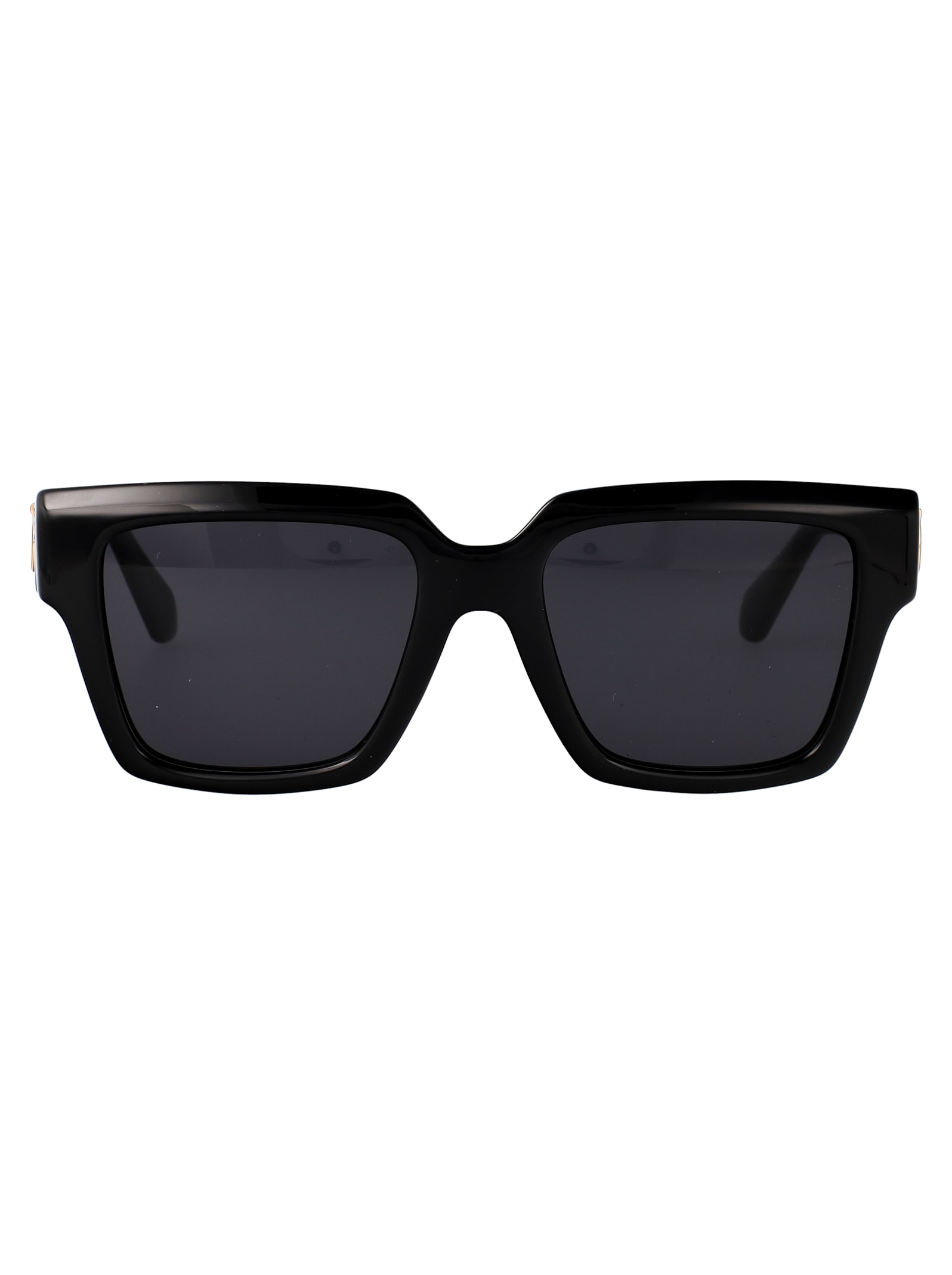 Salvatore Ferragamo Eyewear Sf2014s Sunglasses