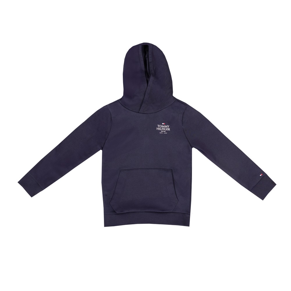 Puff Print Hoody