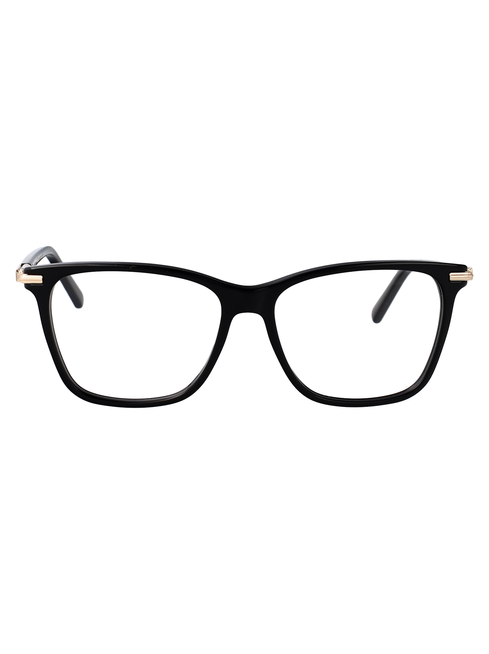 Salvatore Ferragamo Eyewear Sf3013 Glasses