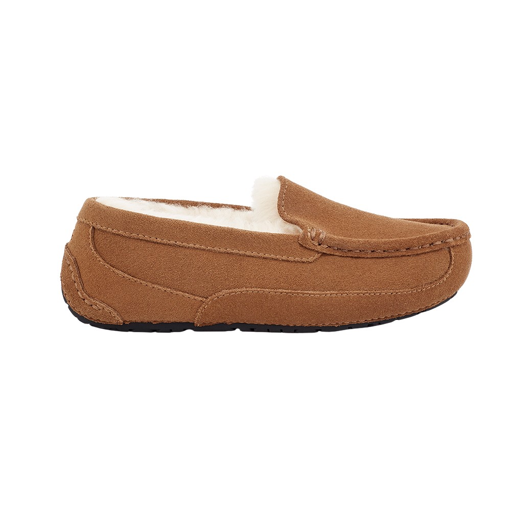 K Ascot Slipper
