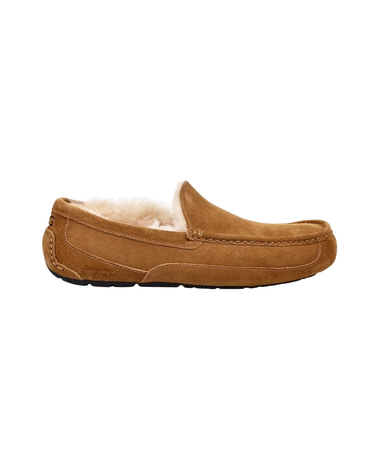 UGG M Ascot