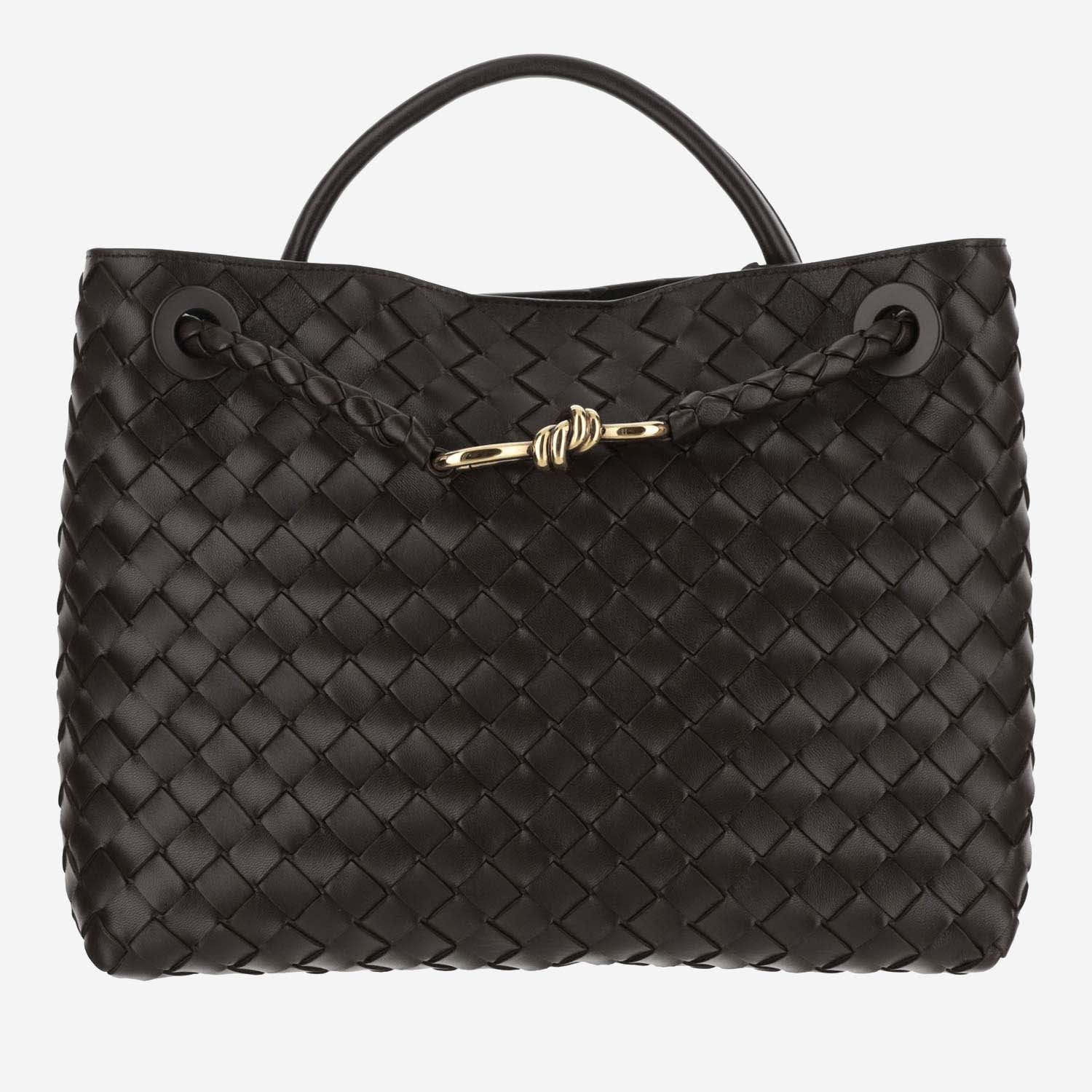 Bottega Veneta Andiamo Medium Bag