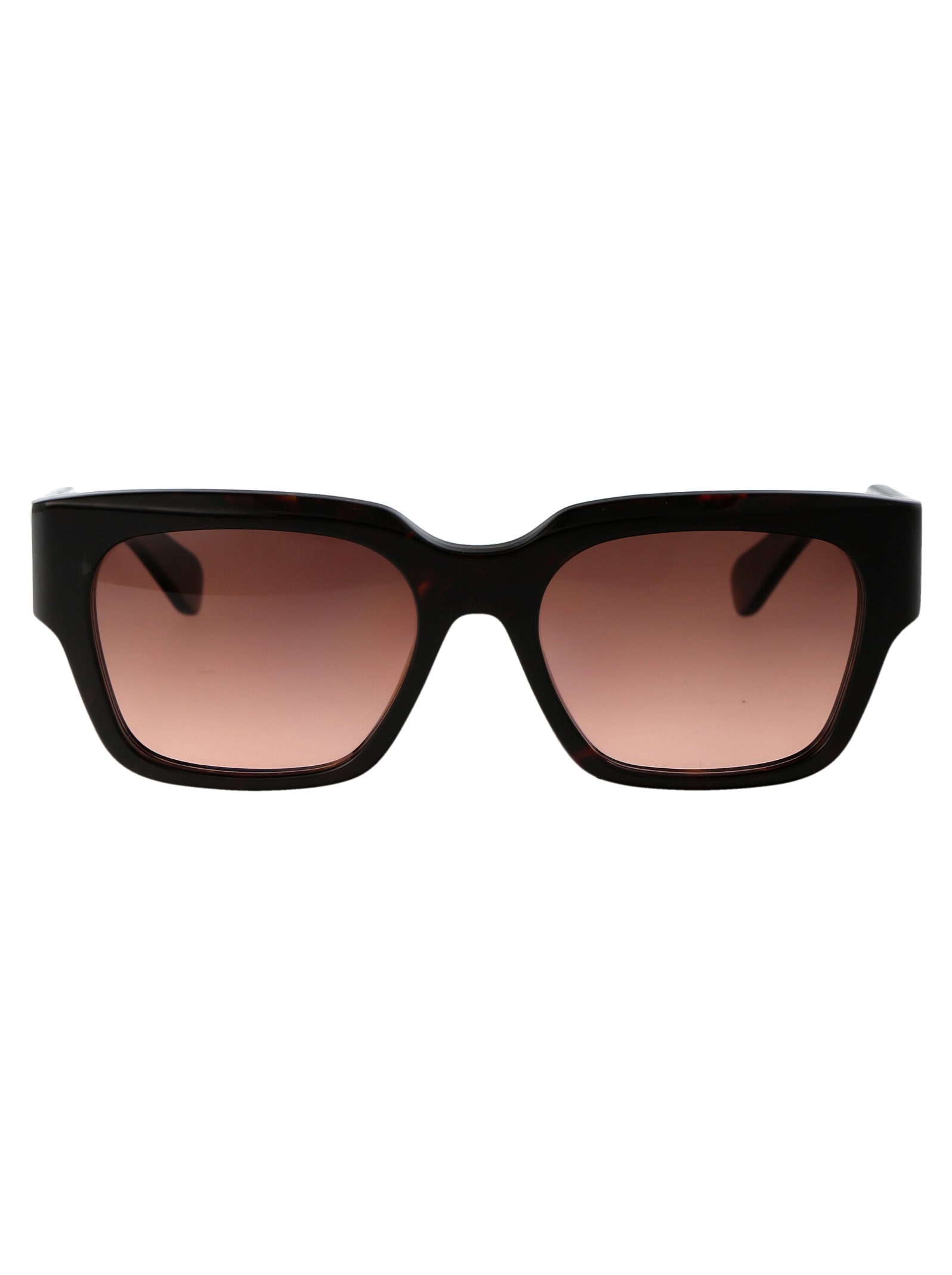 Chloé Eyewear Ch0190s Sunglasses